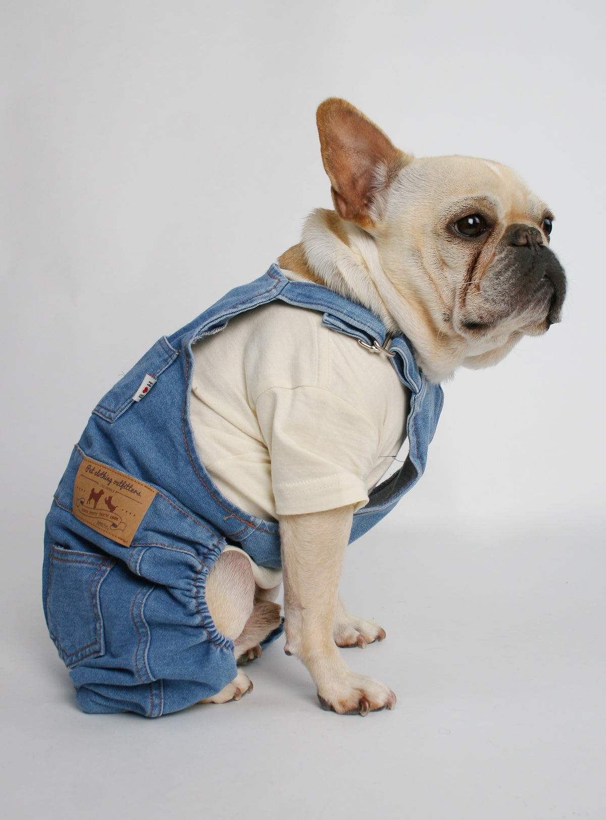 Pet Clothes Costume Puppy Denim Overalls for Small Medium Dogs Cats Boys  Bowtie Plaid Shirt Jeans Pants Outfits Chihuahua One Piece Jumpsuit - M -  Walmart.com
