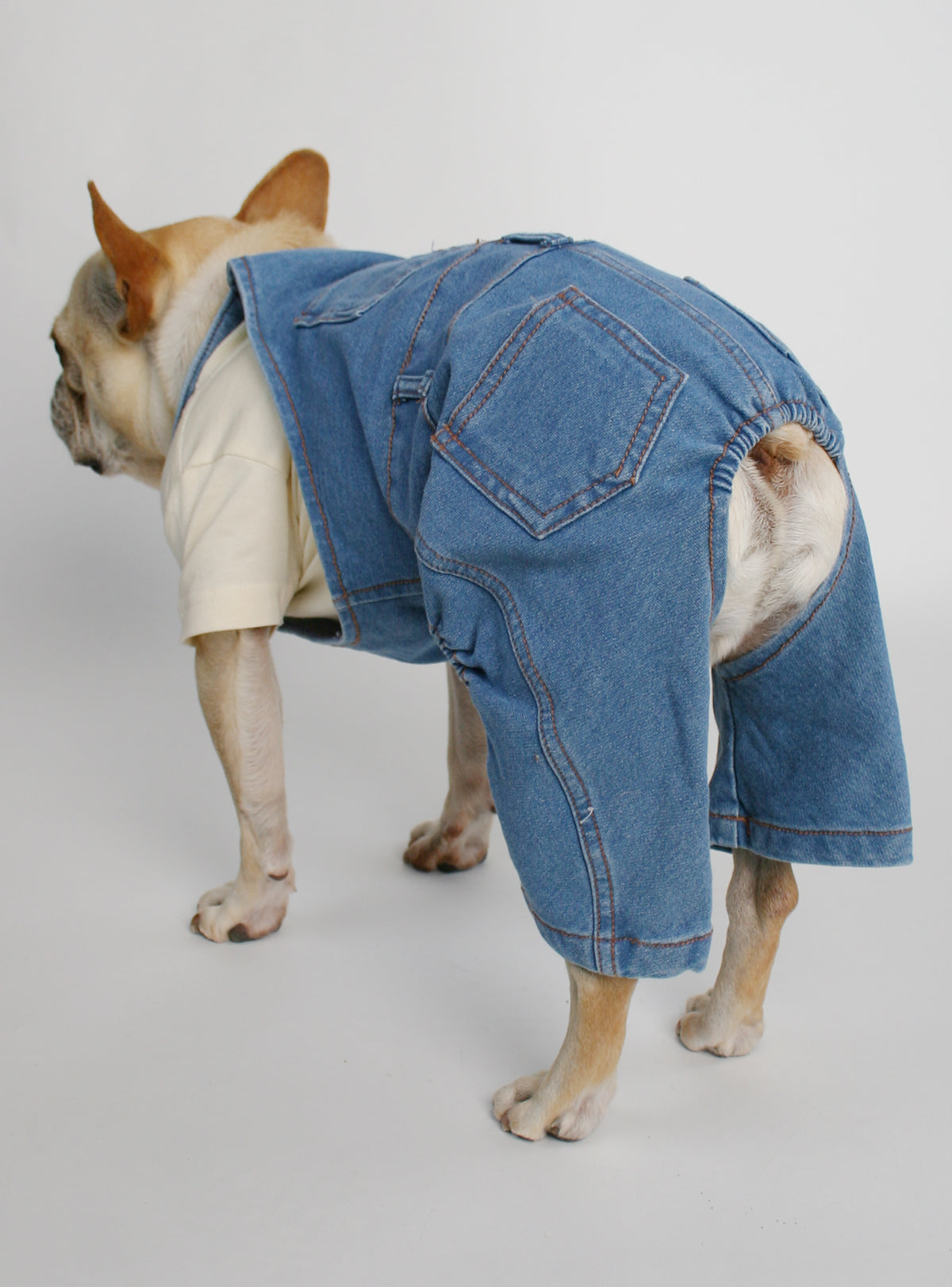 Denim Dog Overalls
