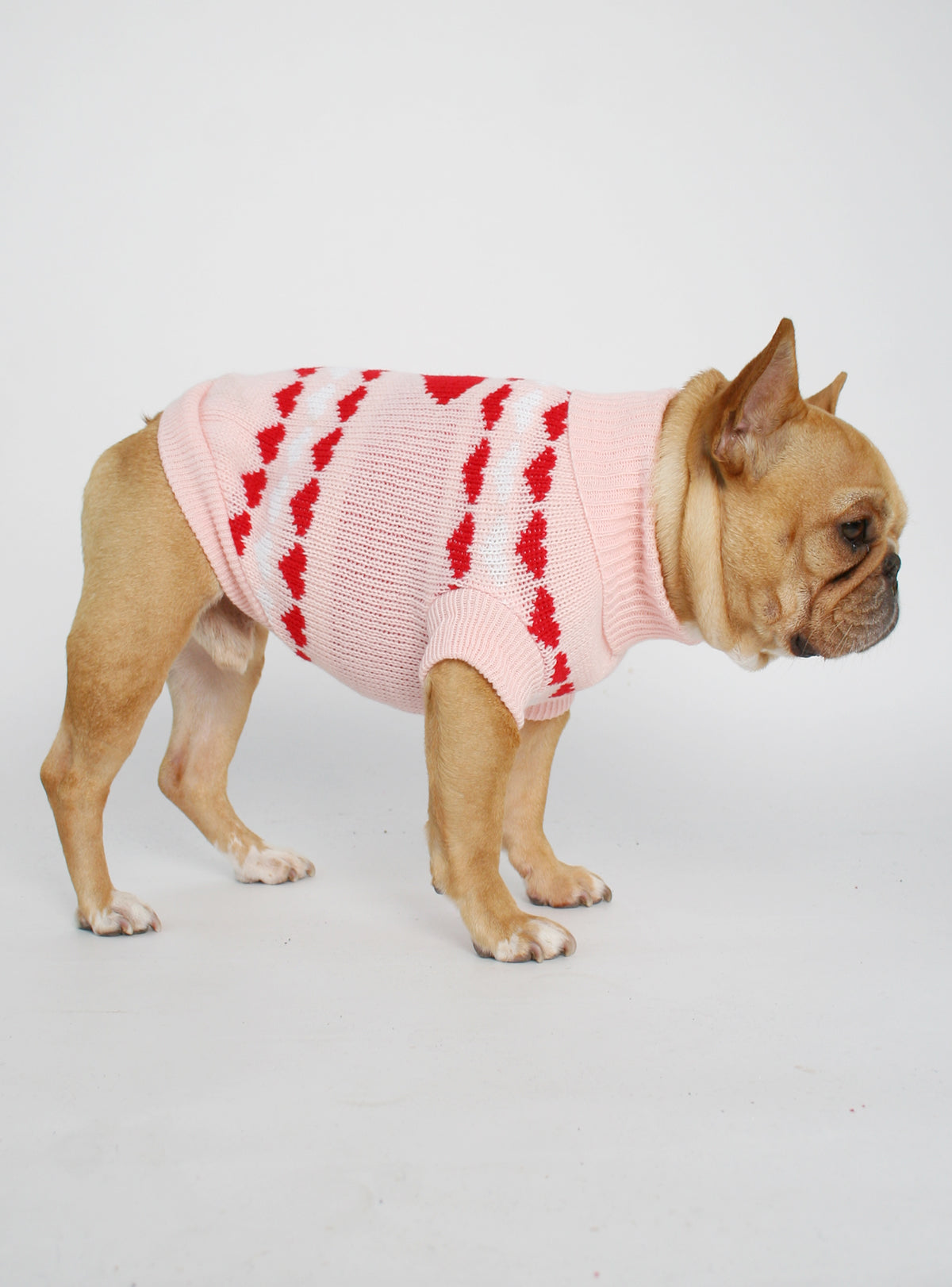Easy Lover Dog Sweater