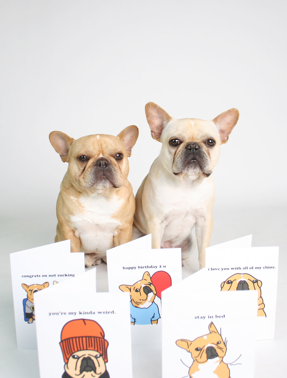 DID SOMEONE SAY TREATS GREETING CARD