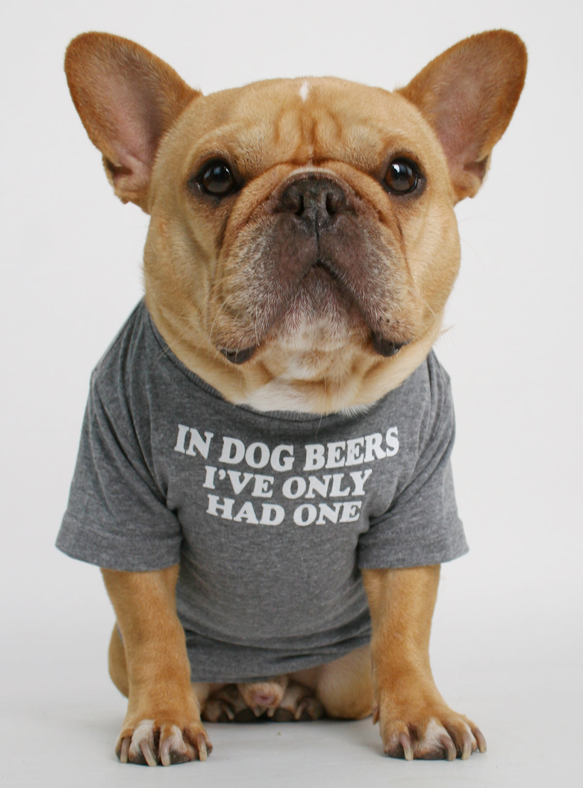 In Dog Beers Dog Tee