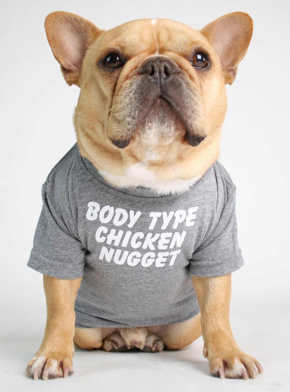 Body Type Chicken Nugget Dog Tee