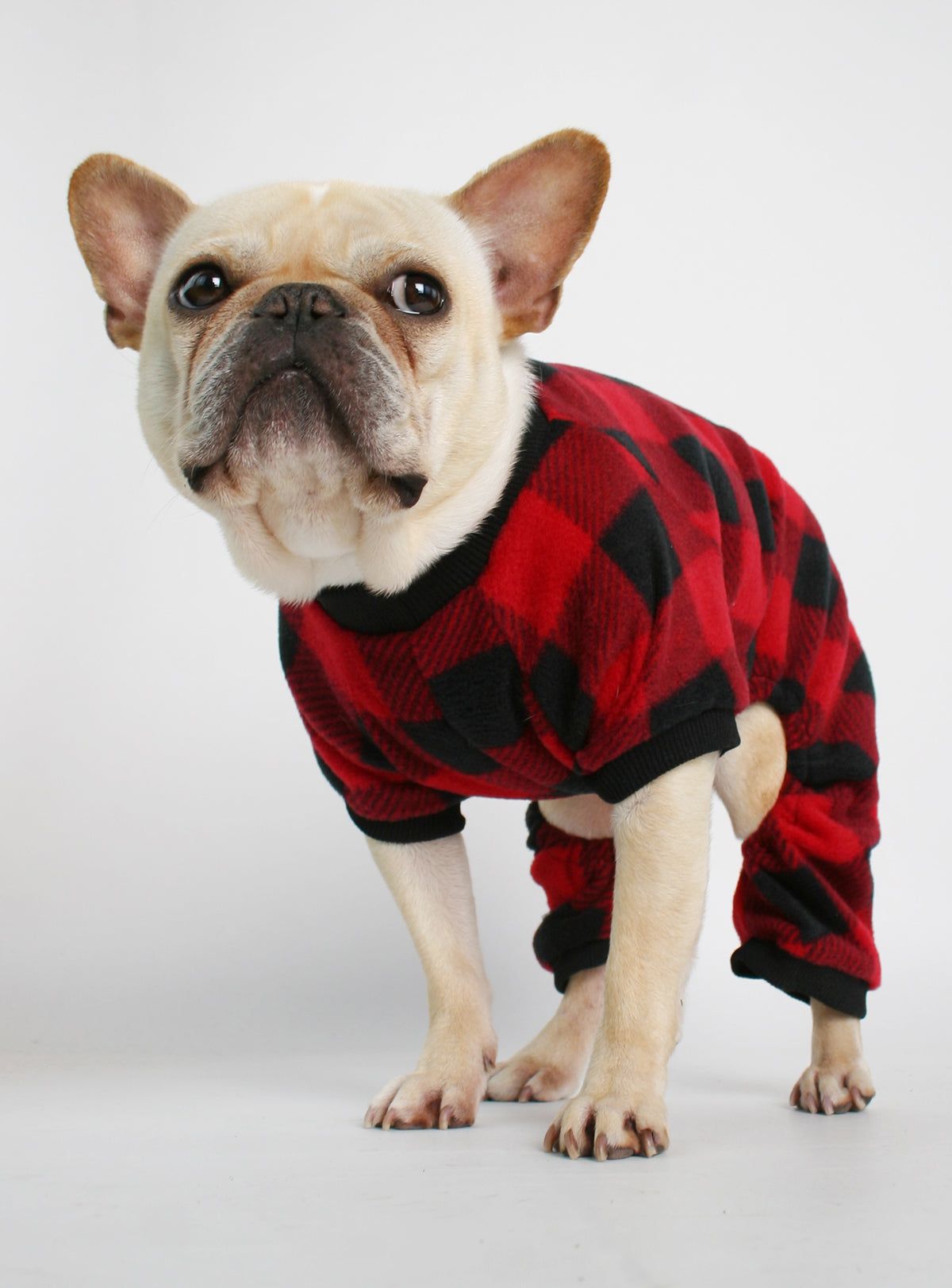 Flapjack Dog Pajama Jumpsuit