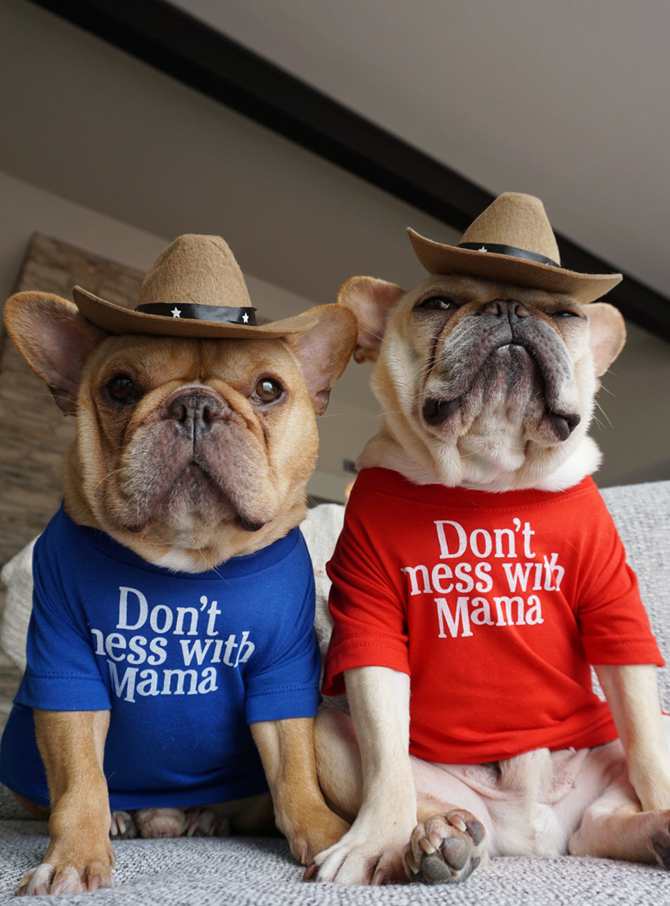 Don&#39;t Mess With Mama Dog Tee