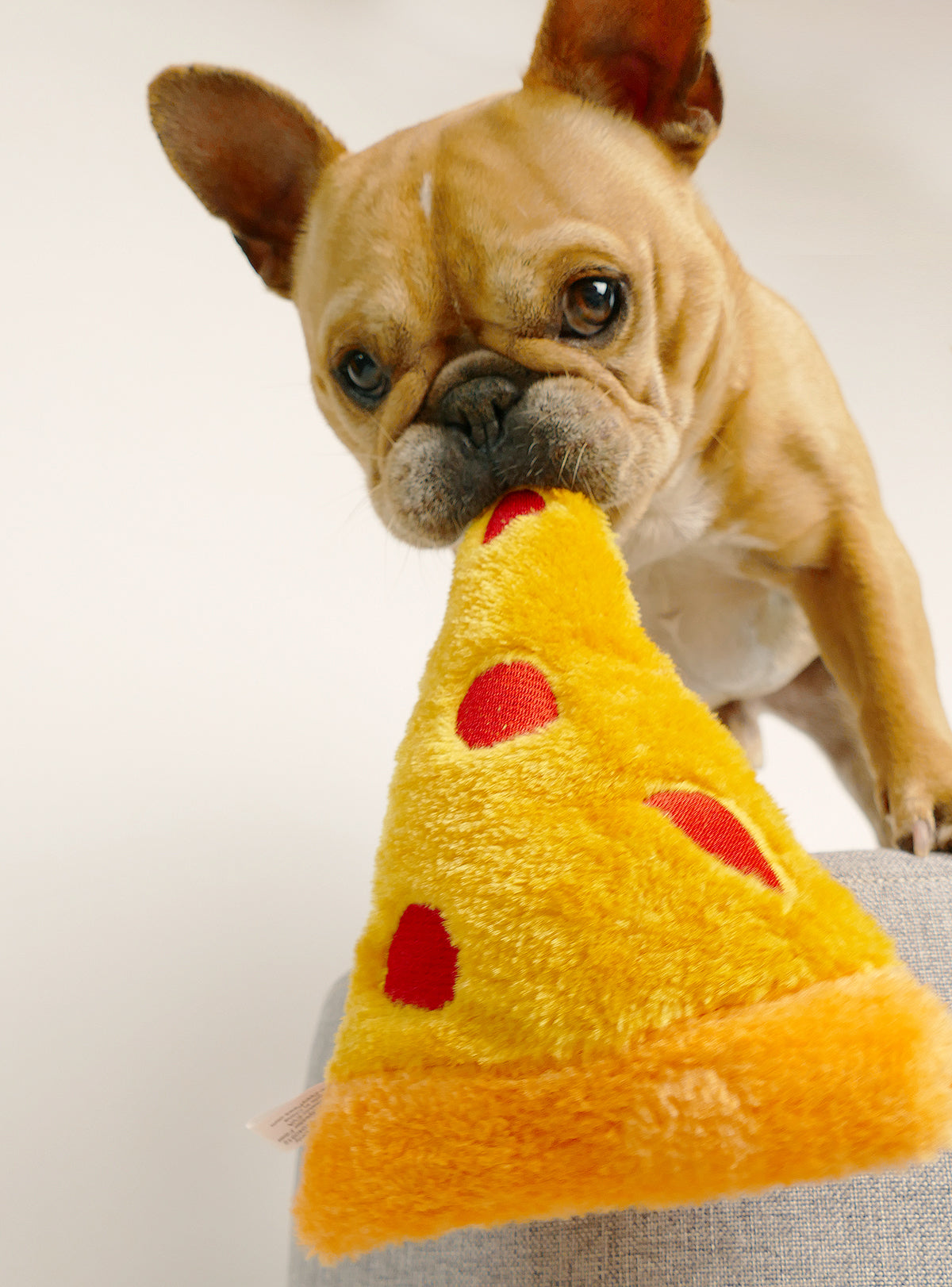 Pizza Slice Chew Toy