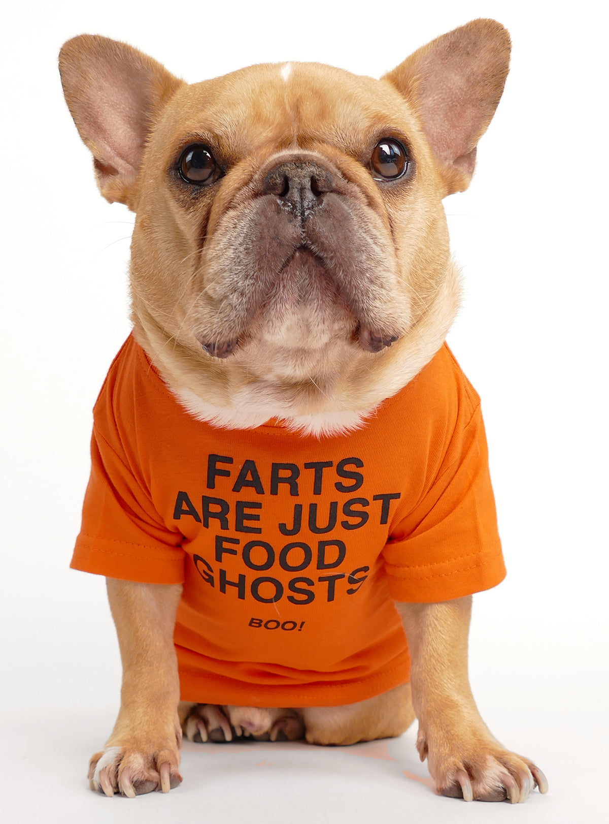 Fart Ghosts Dog Tee