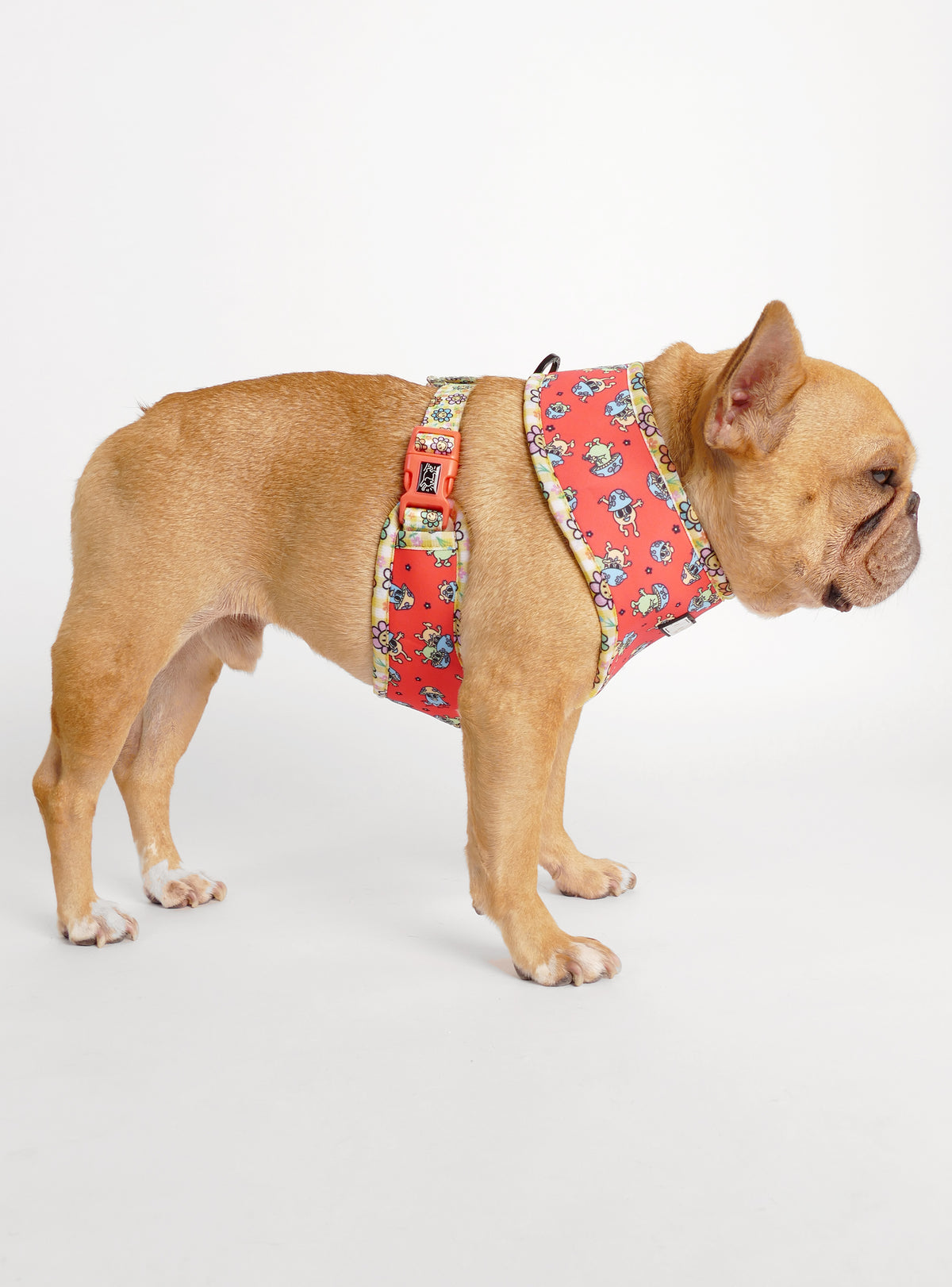 The Mushroom Party Reversible Harness