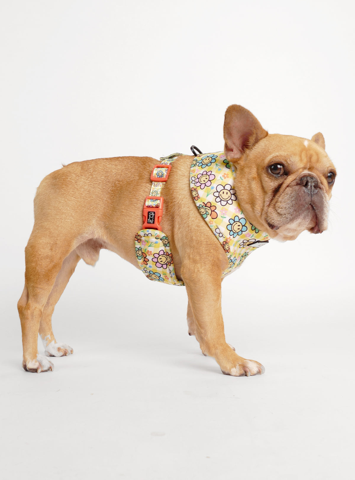 The Mushroom Party Reversible Harness