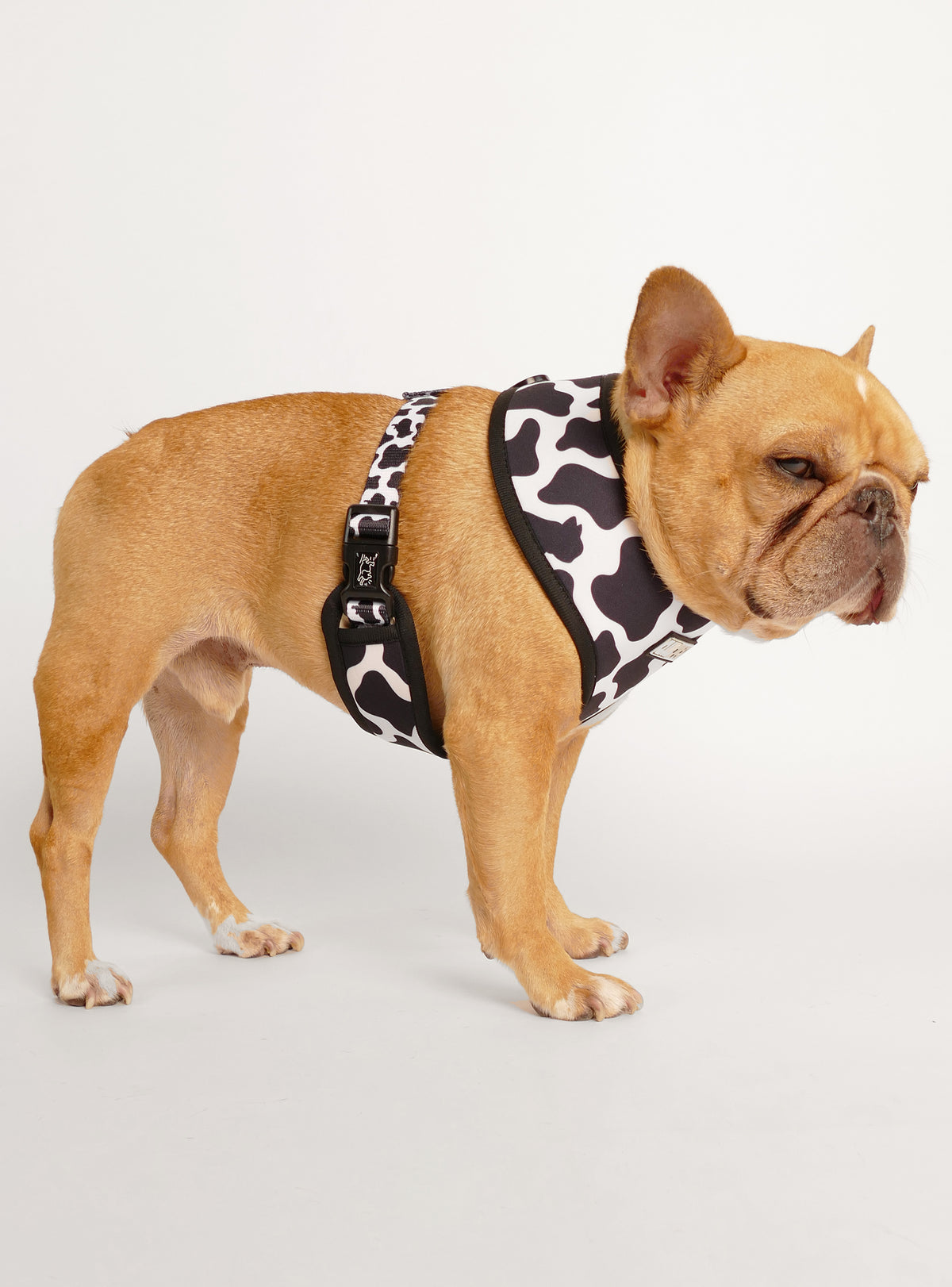 The Cow TV Reversible Harness