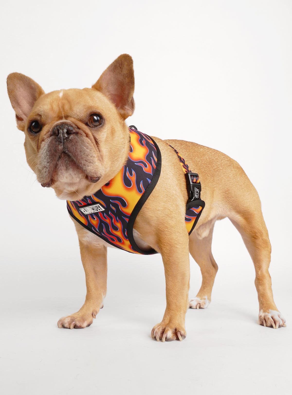 The Heaven And Heck Reversible Harness