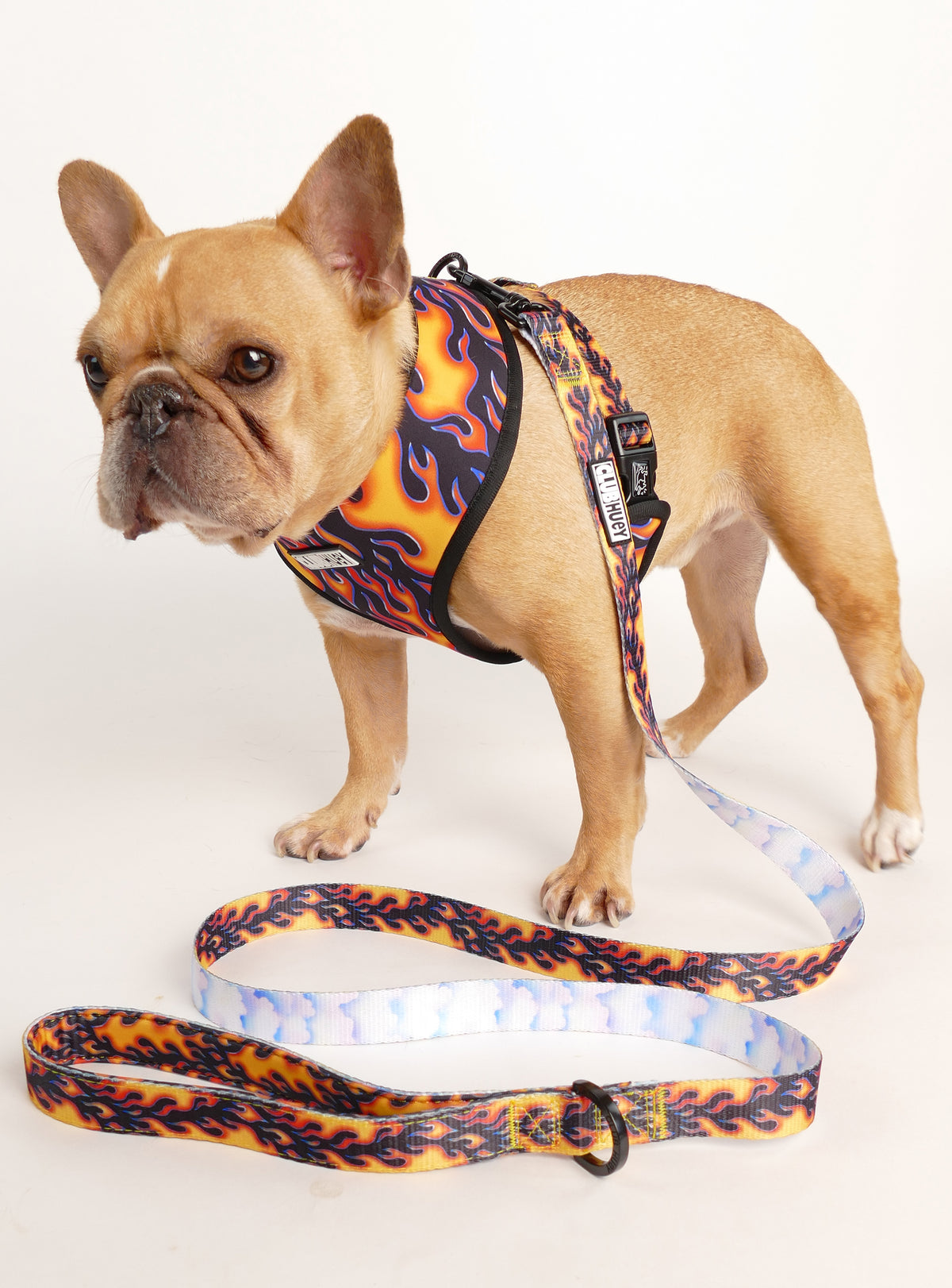The Heaven And Heck Reversible Harness