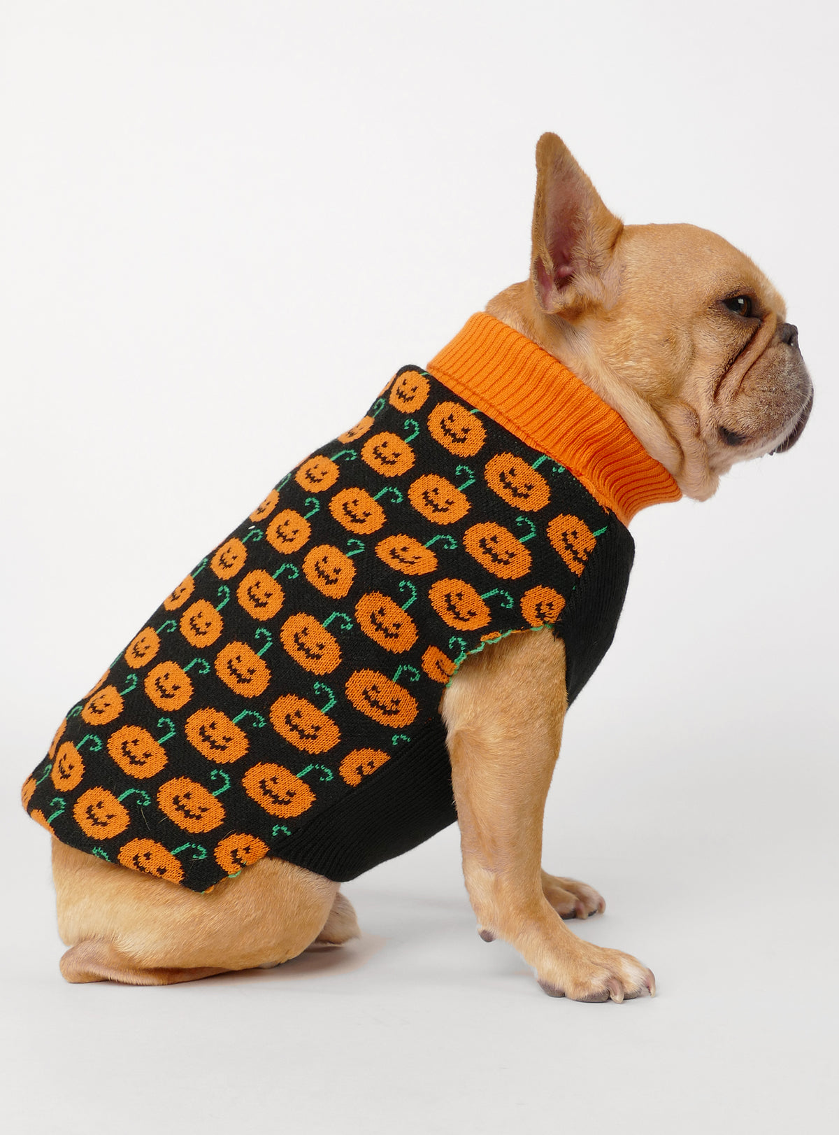 Pumpkin Patch Dog Sweater