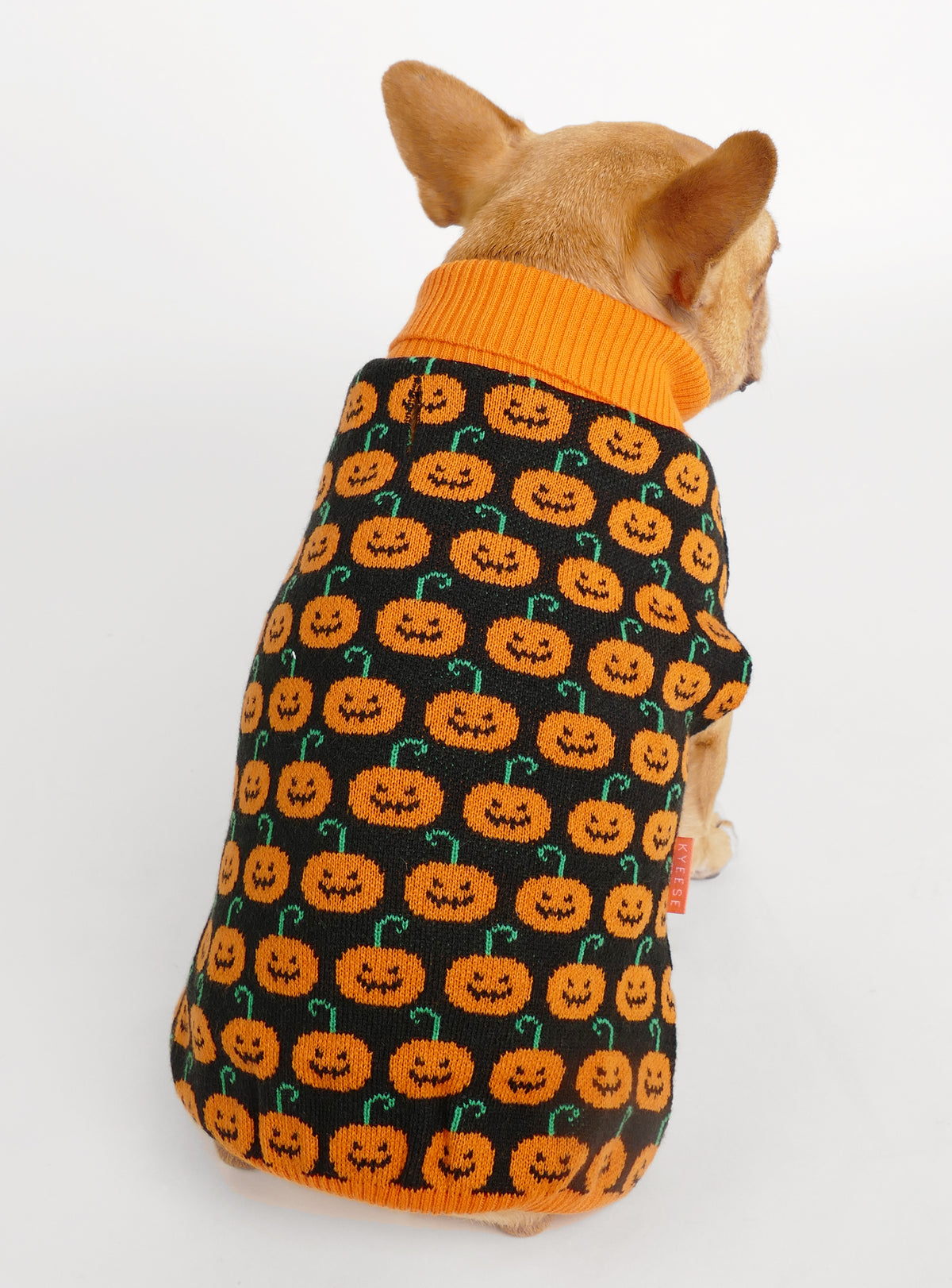 Pumpkin Patch Dog Sweater
