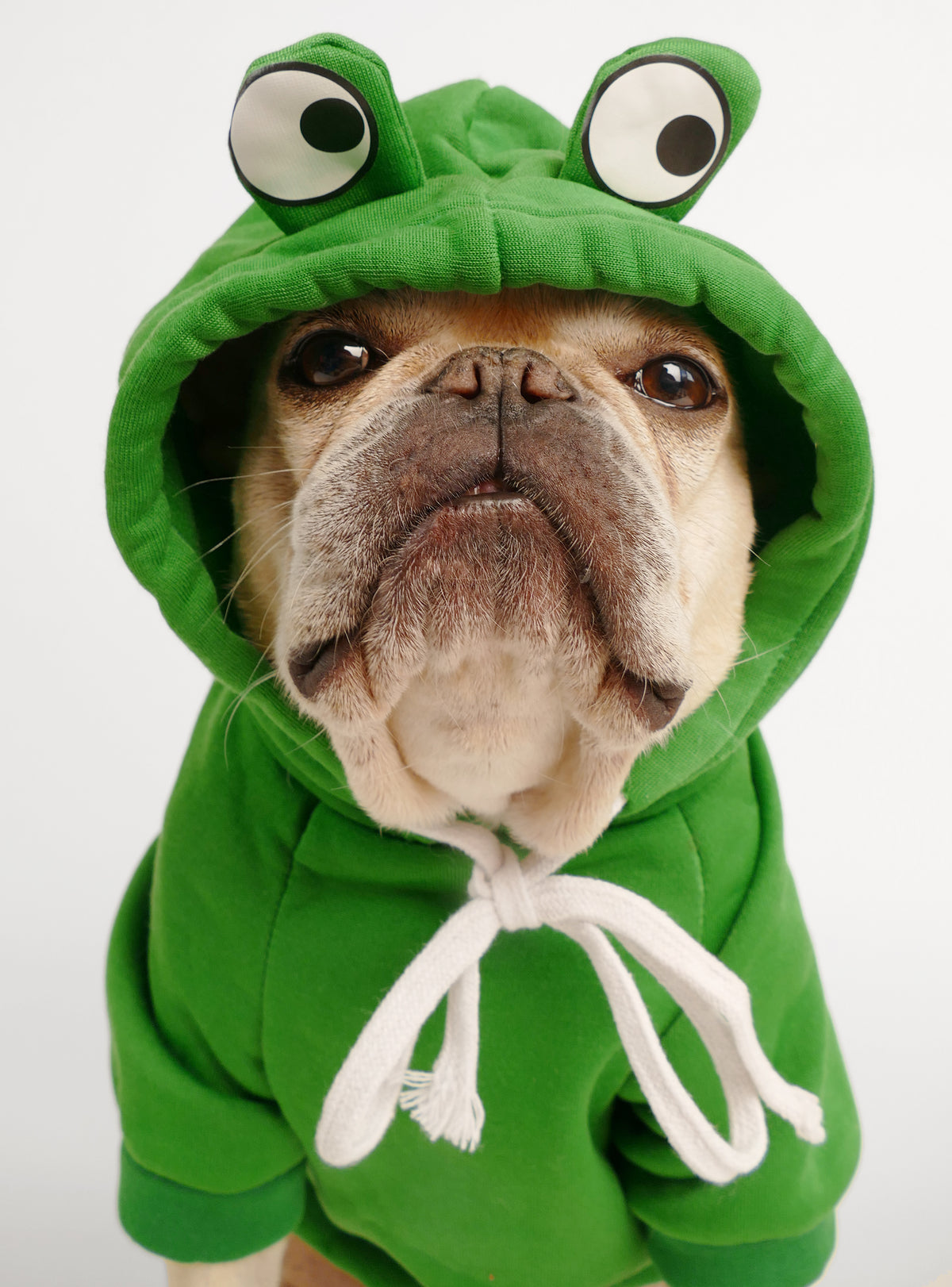 Frog Prince Dog Costume