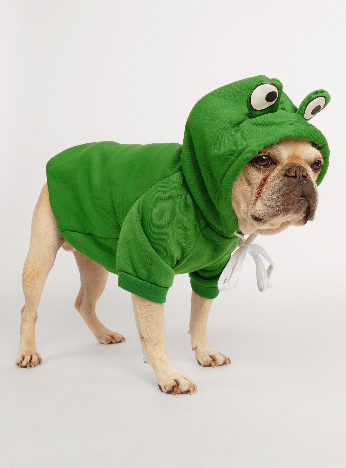 Frog Prince Dog Costume