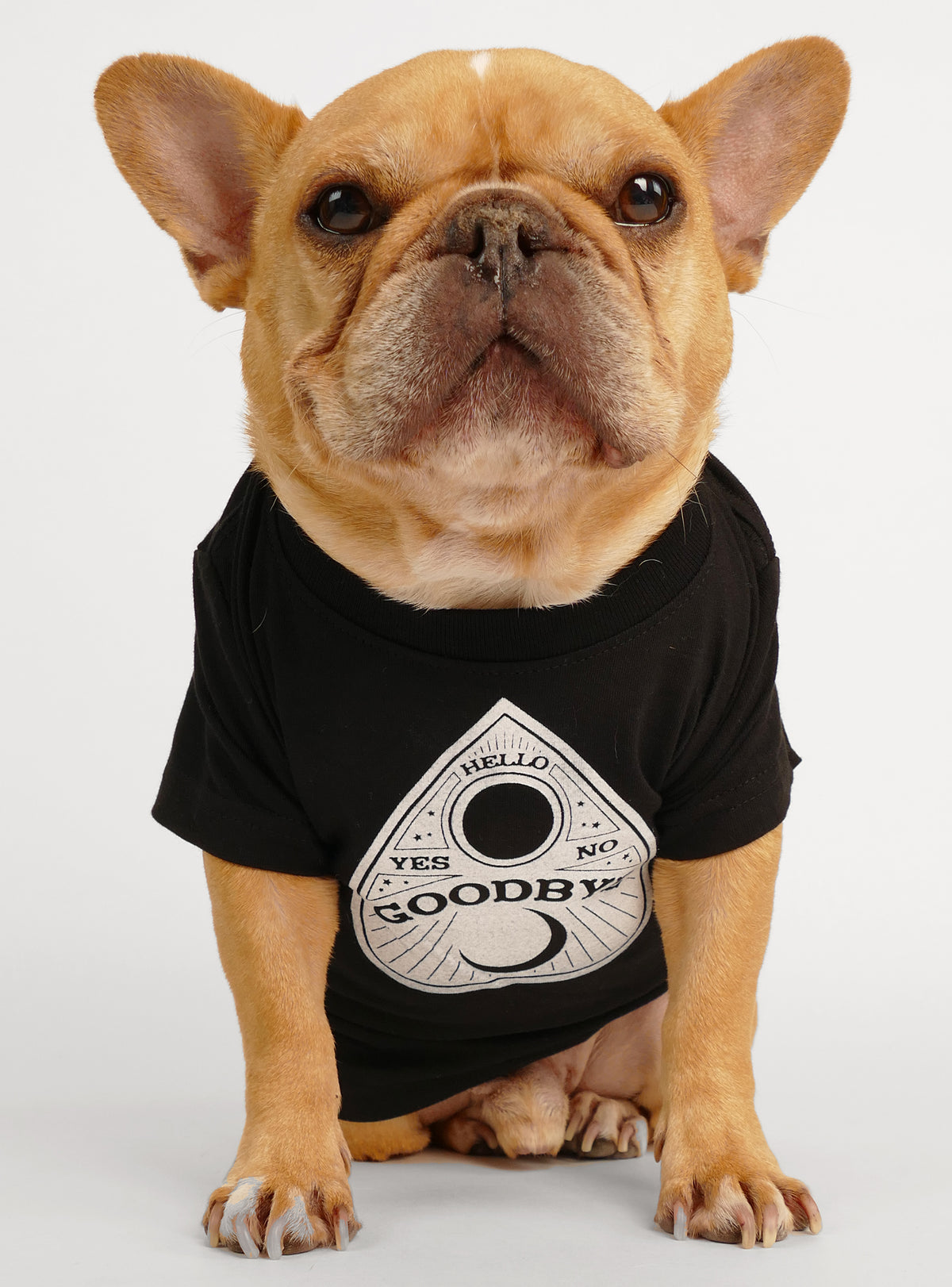 Ouija Board Dog Tee