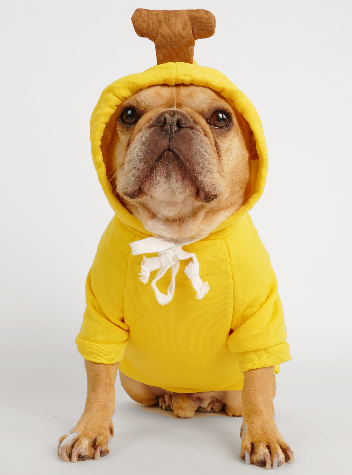 Banana Dog Hoodie Costume