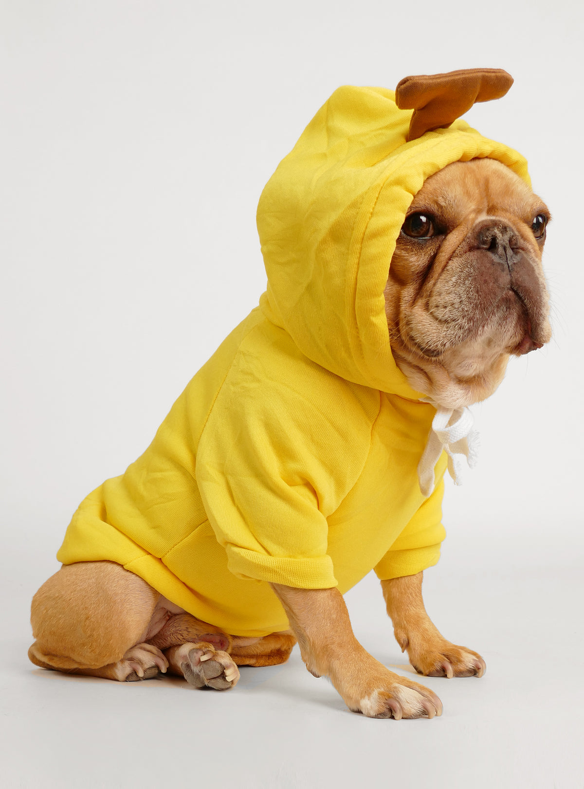 Banana Dog Hoodie Costume