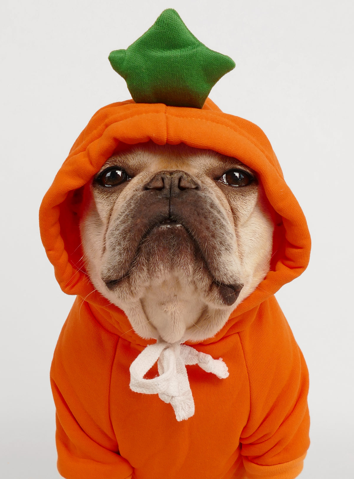 Pumpkin Dog Hoodie Costume