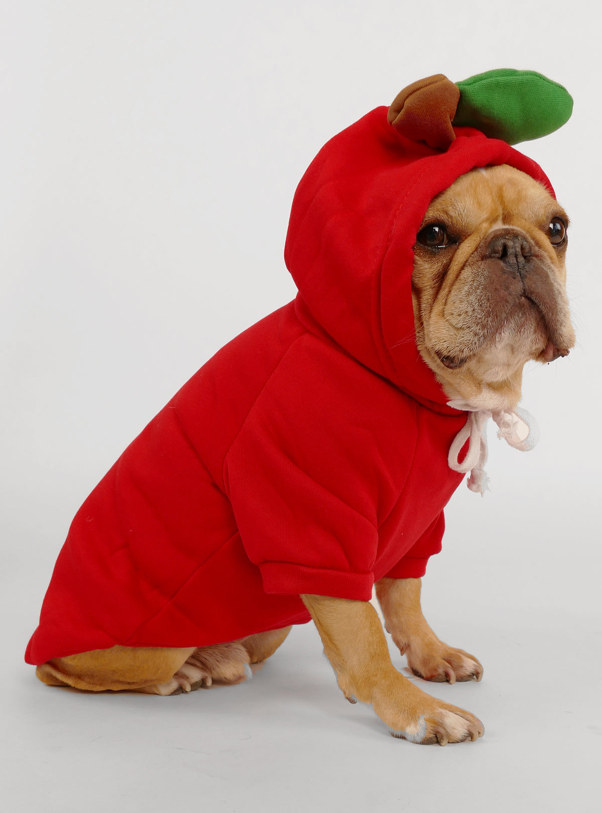 Apple Dog Hoodie Costume