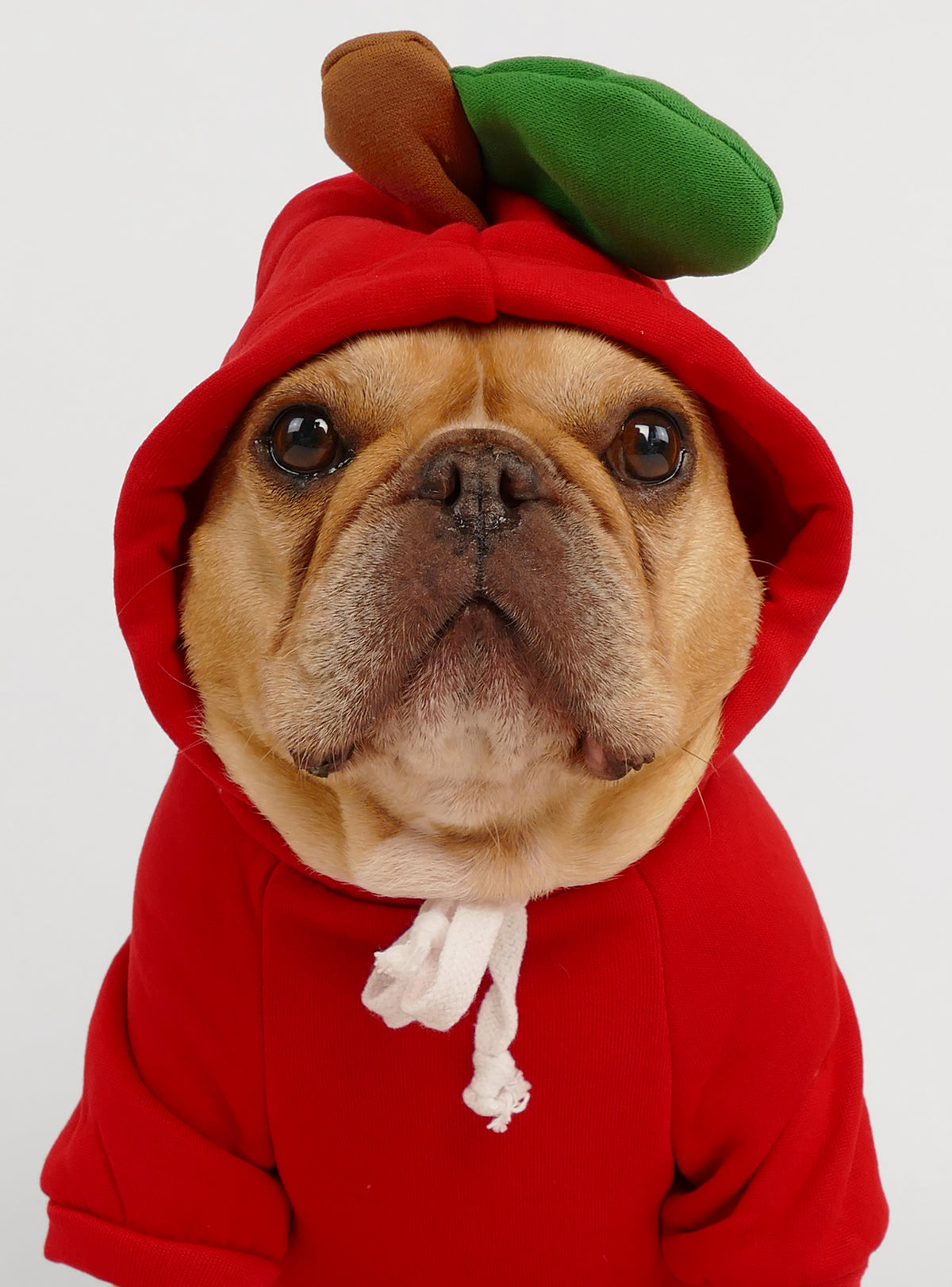 Apple Dog Hoodie Costume