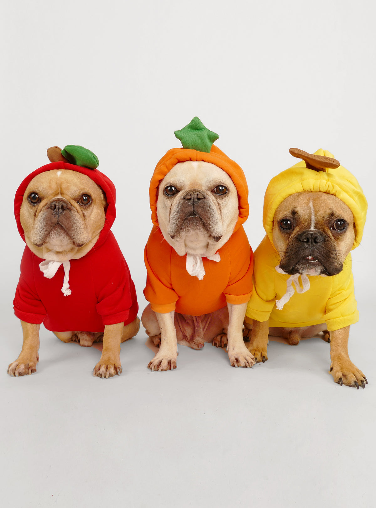 Pumpkin Dog Hoodie Costume