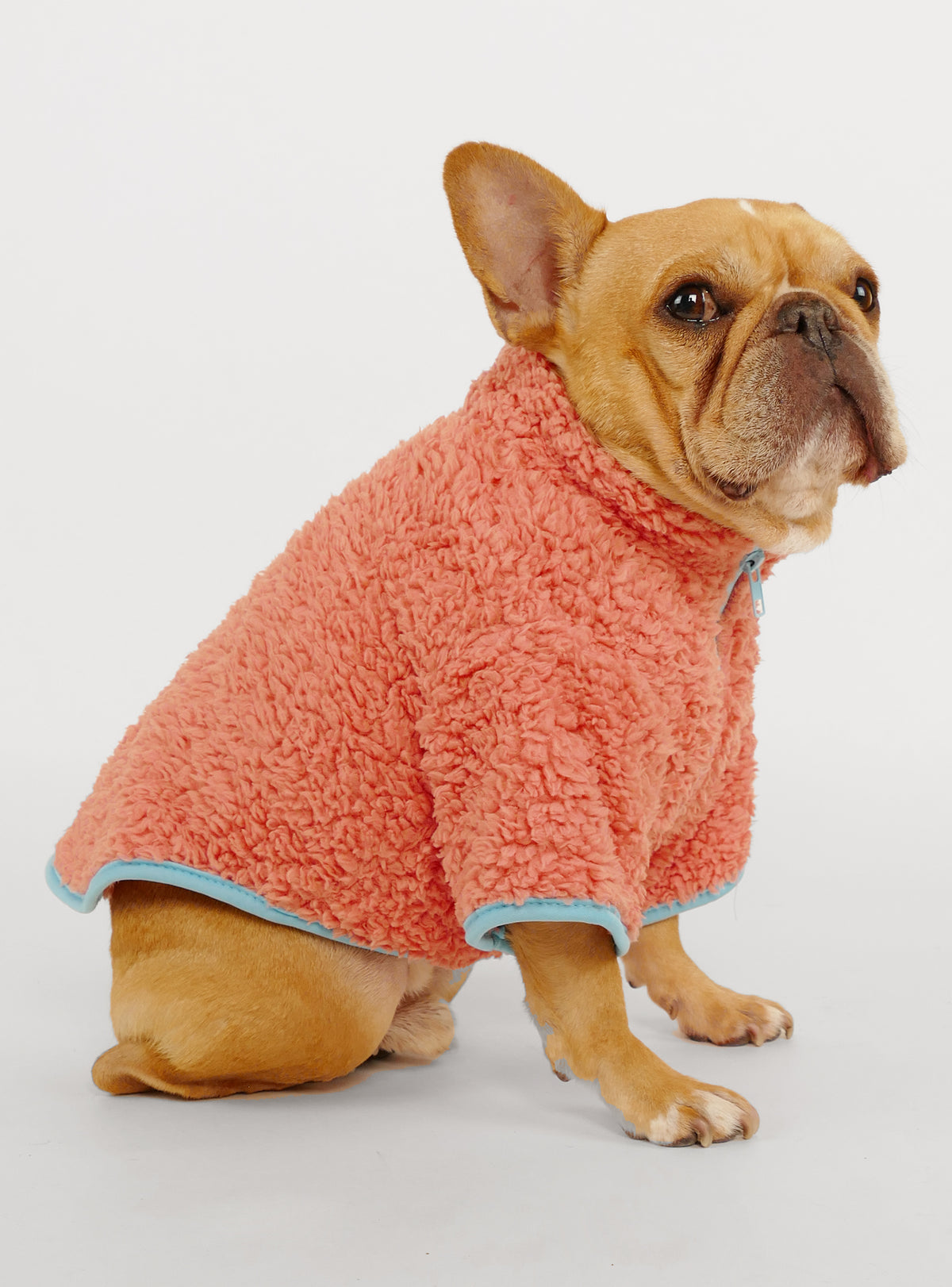 The Aspen Dog Sweater