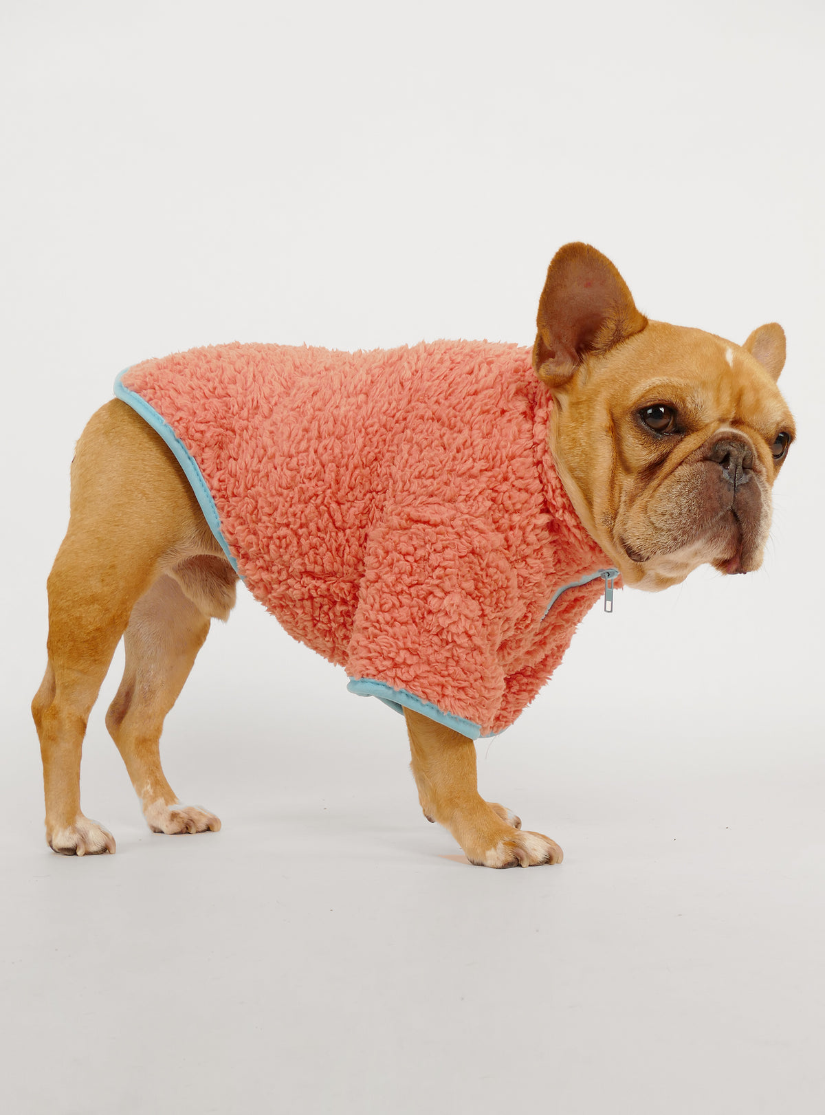 The Aspen Dog Sweater