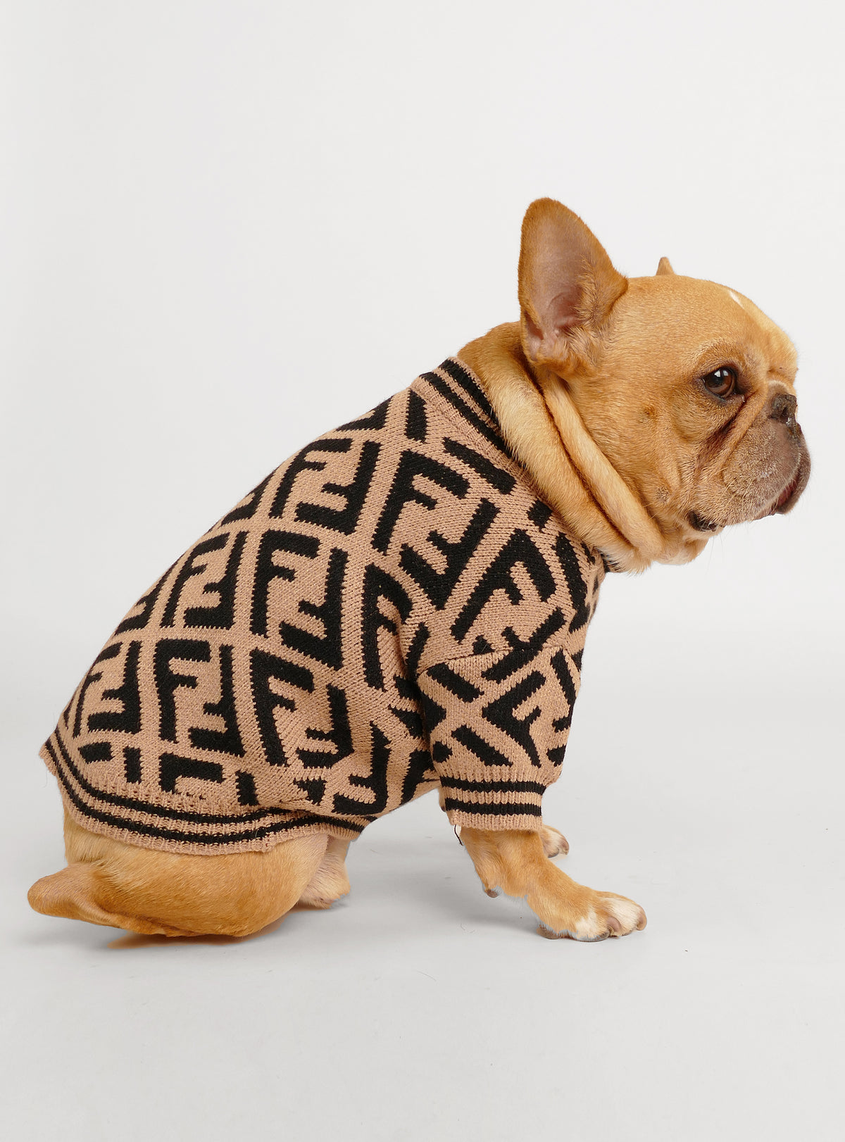 Fetch Dog Sweater
