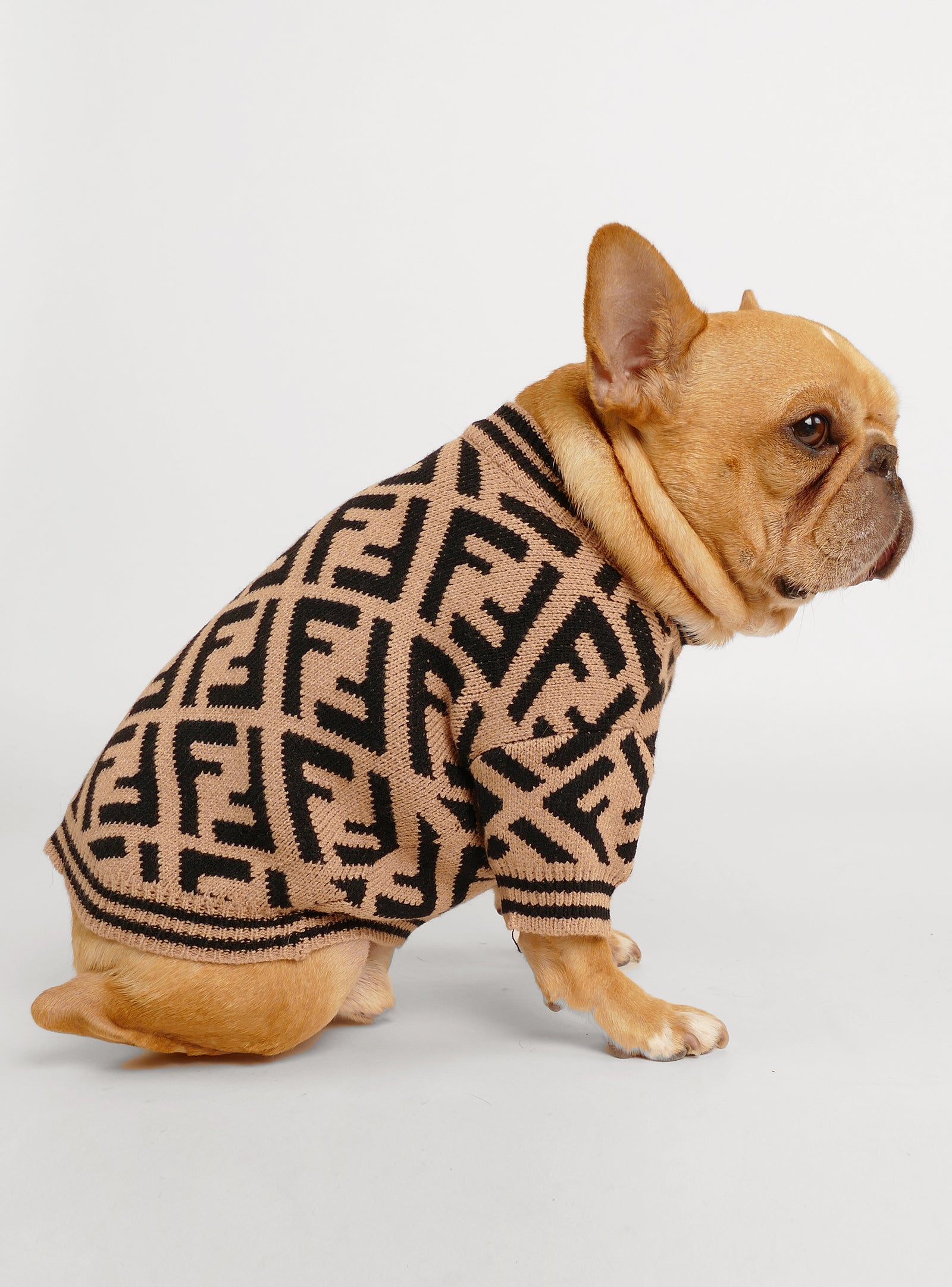 I'm Doing Frenchie Stuff Dog Tee - Club Huey