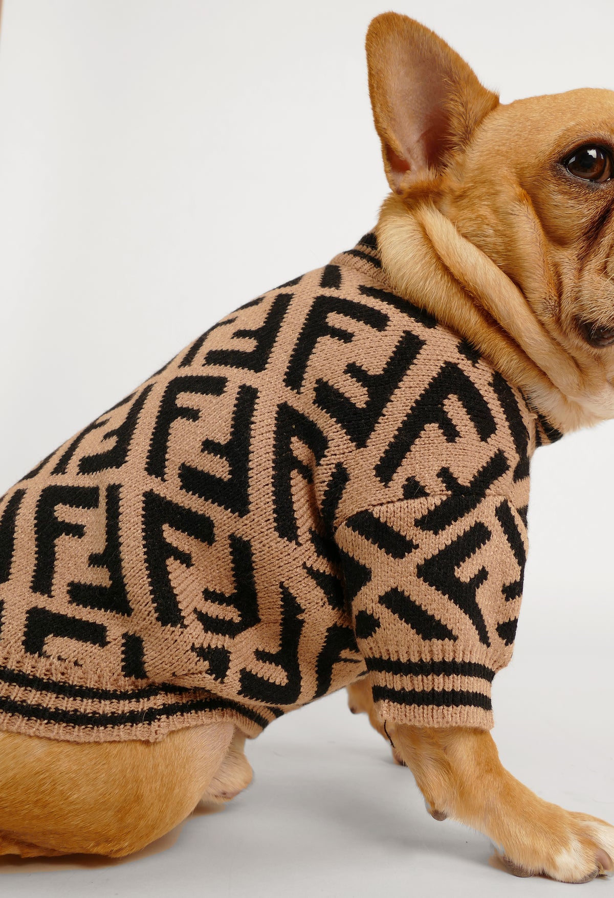 Fendi puppy sweater Clearance