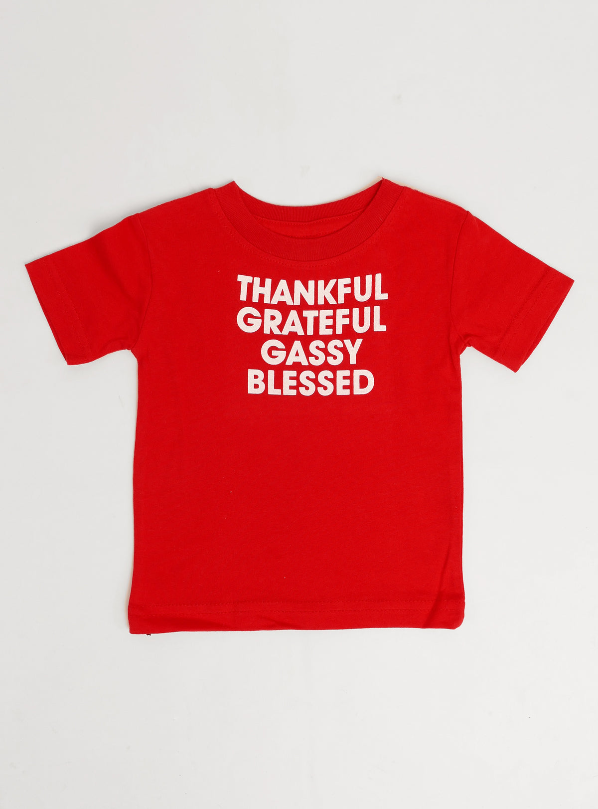 Thankful Grateful Gassy Blessed Dog Tee