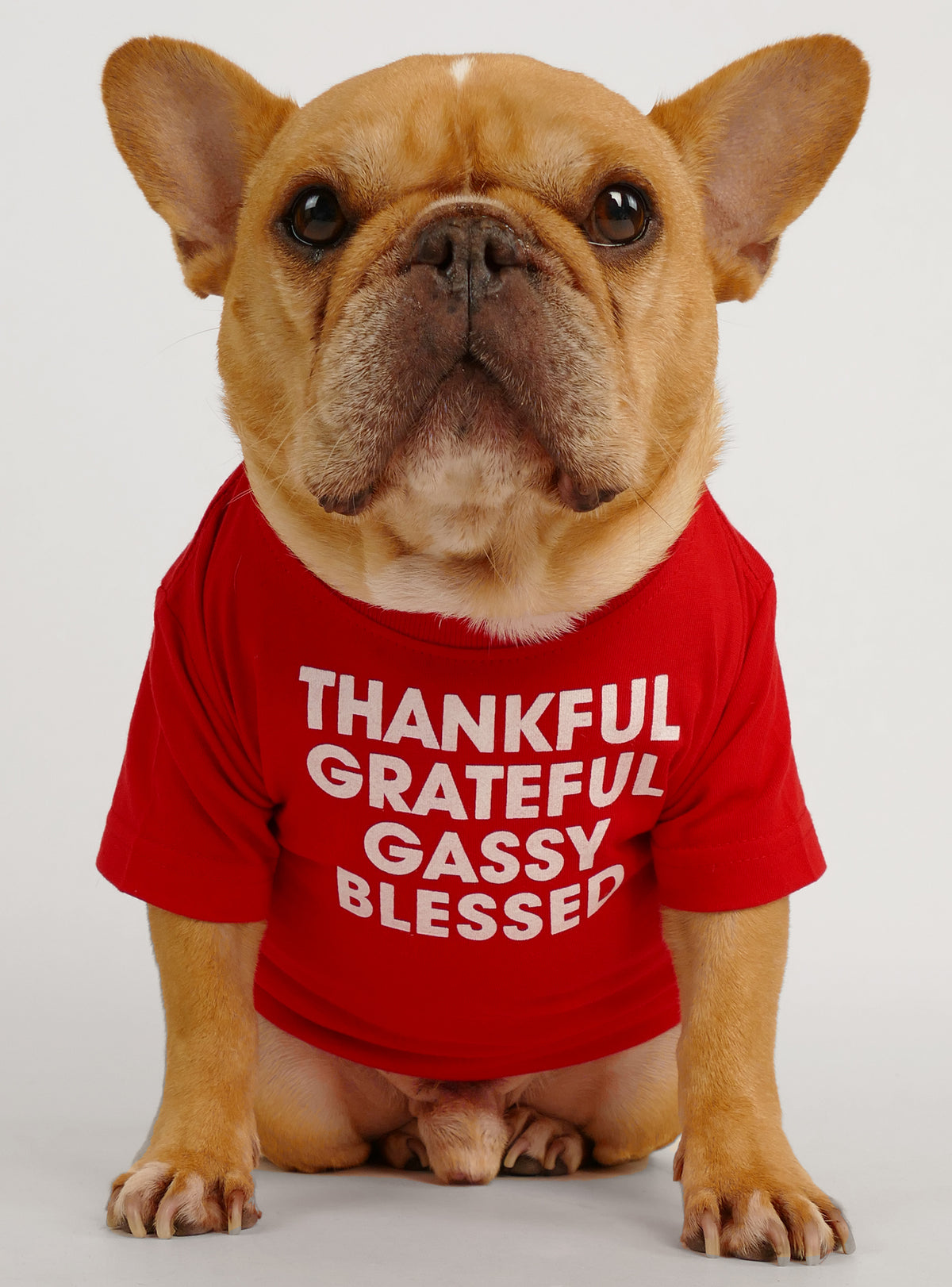 Thankful Grateful Gassy Blessed Dog Tee