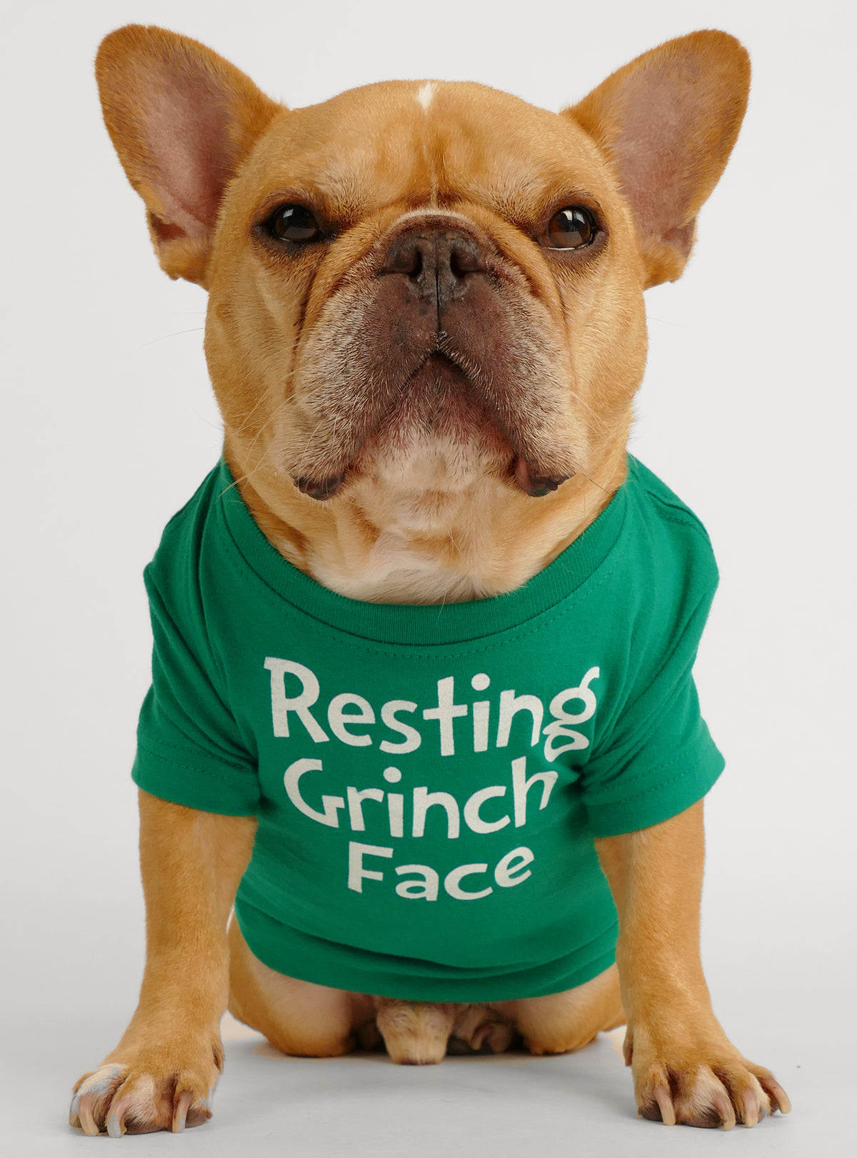 Resting Grinch Face Dog Tee