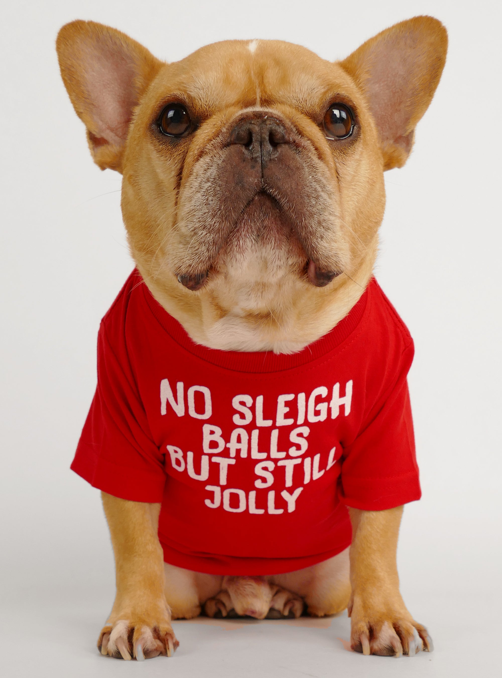 Fetch Dog Sweater - Club Huey