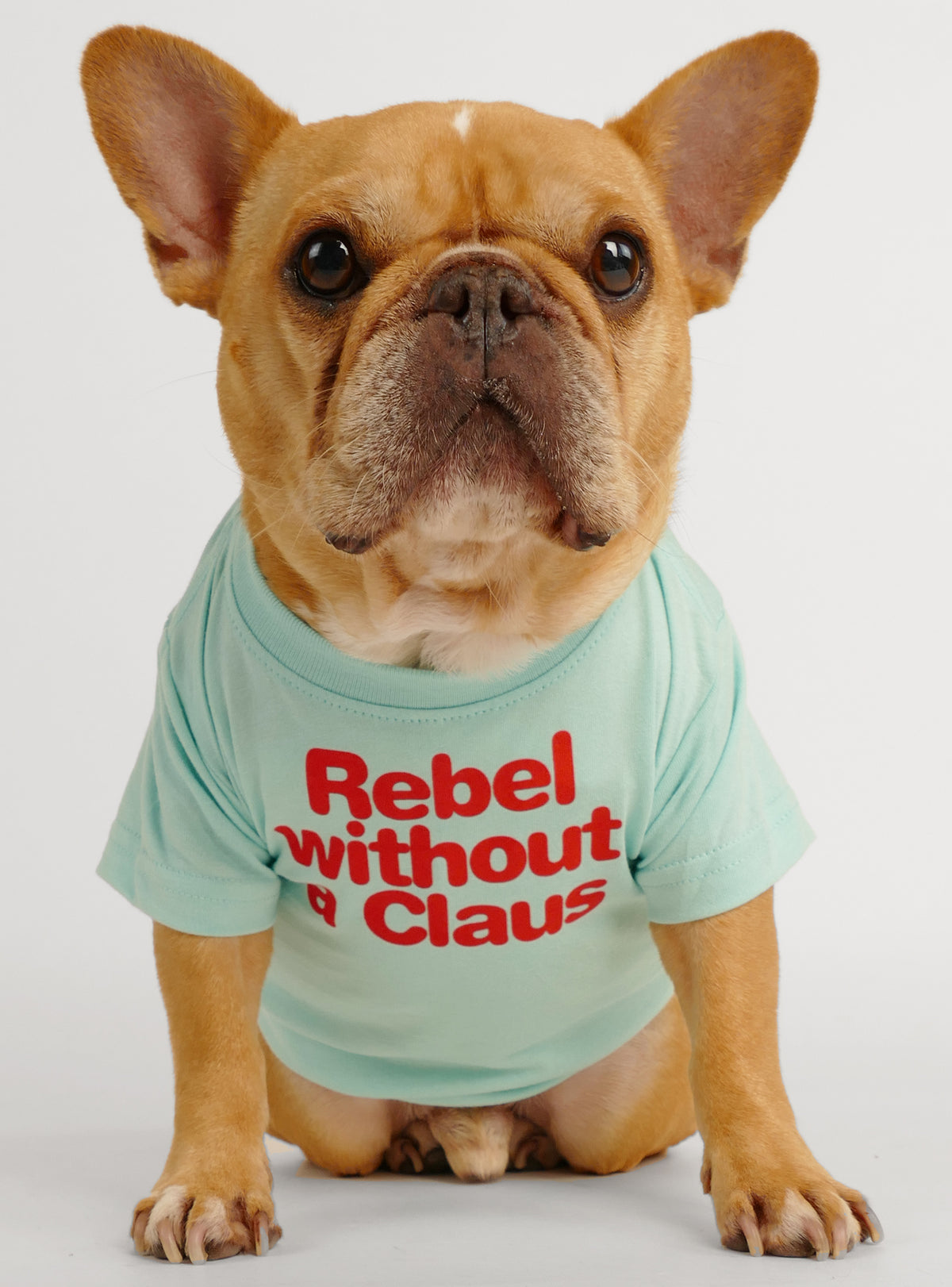 Rebel Without a Claus Dog Tee