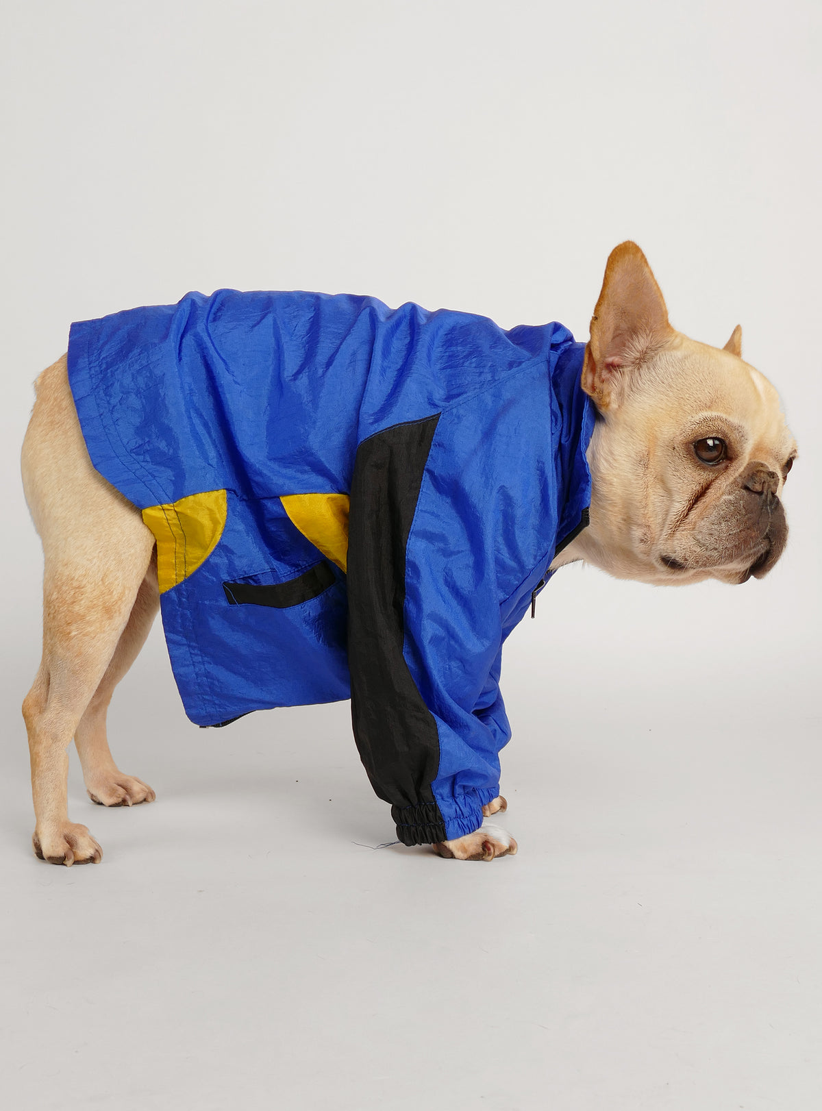 Vintage Blue Blast Energy Jacket