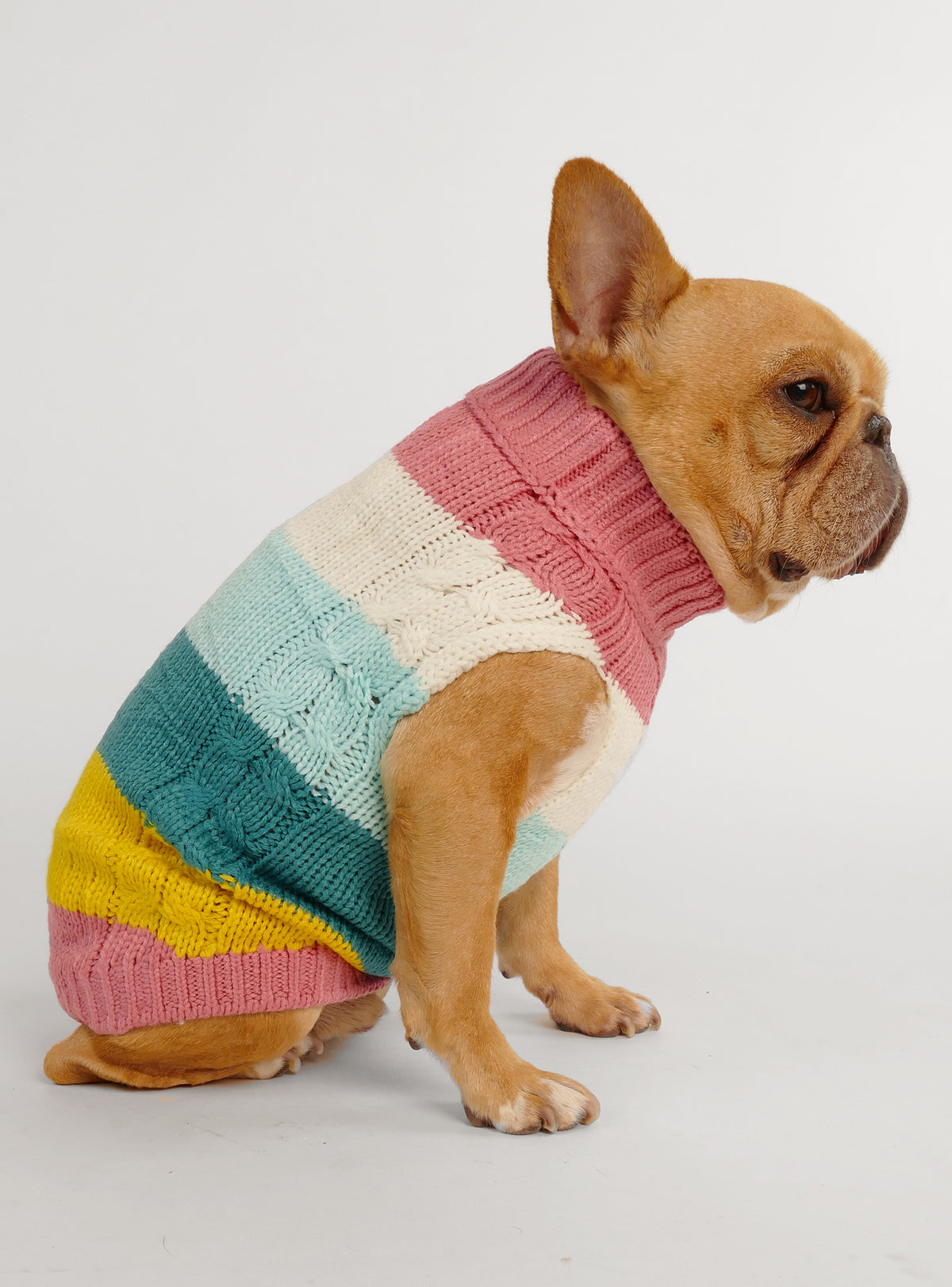 The Colorblock Dog Sweater