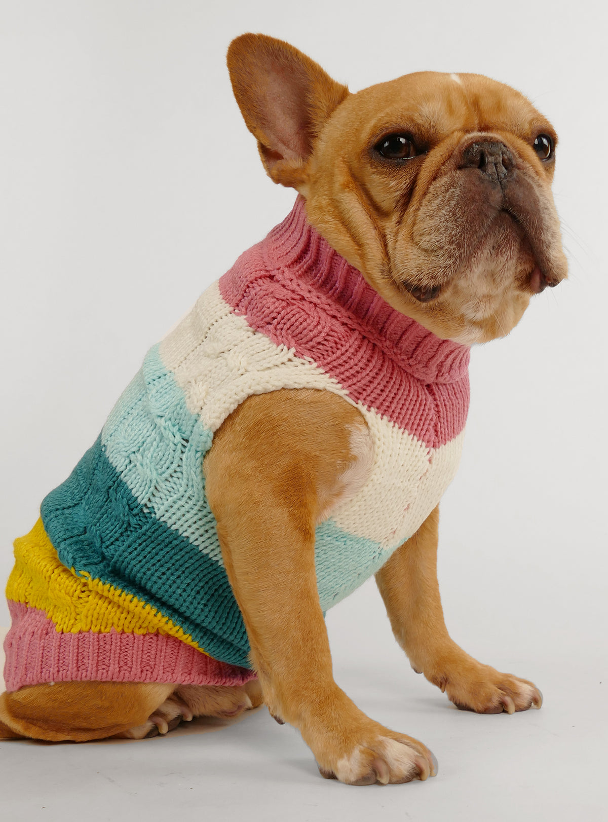 The Colorblock Dog Sweater