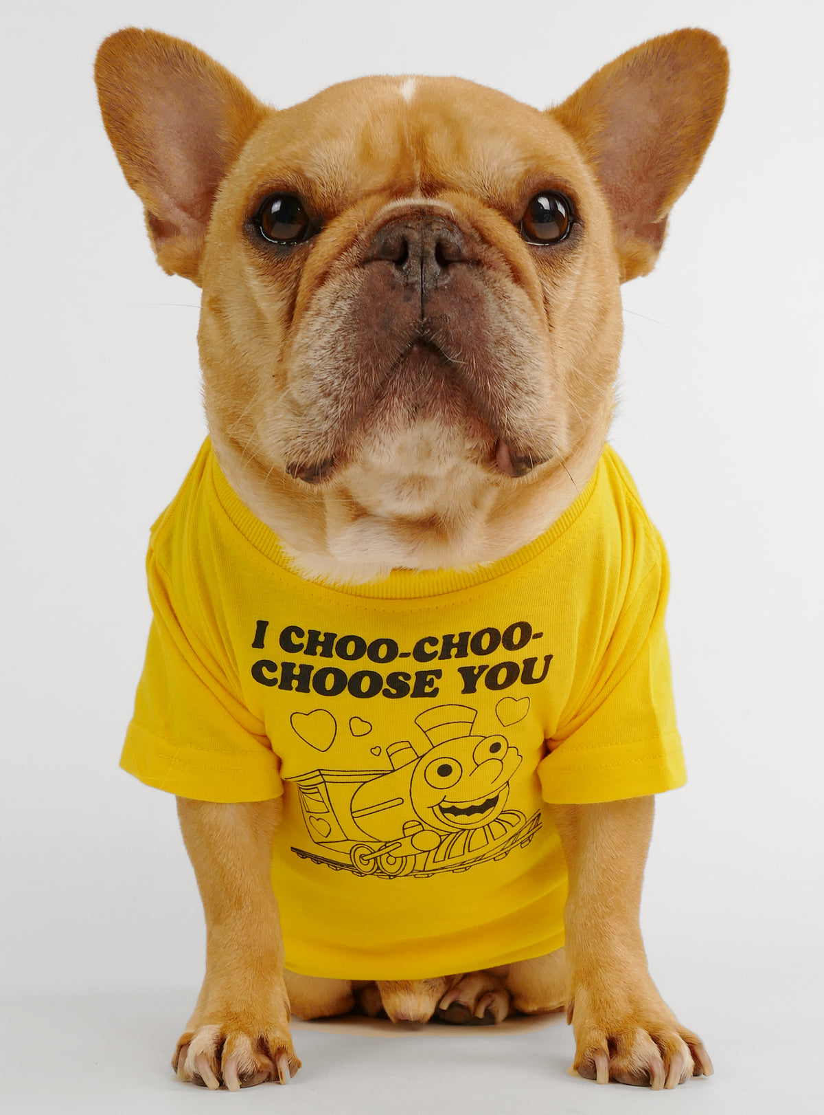 I Choo-Choo-Choose You Dog Tee