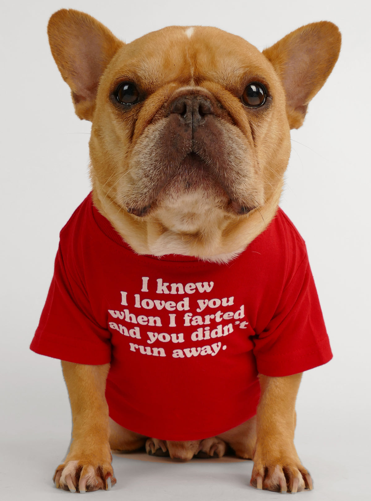 I Knew I Loved You Dog Tee