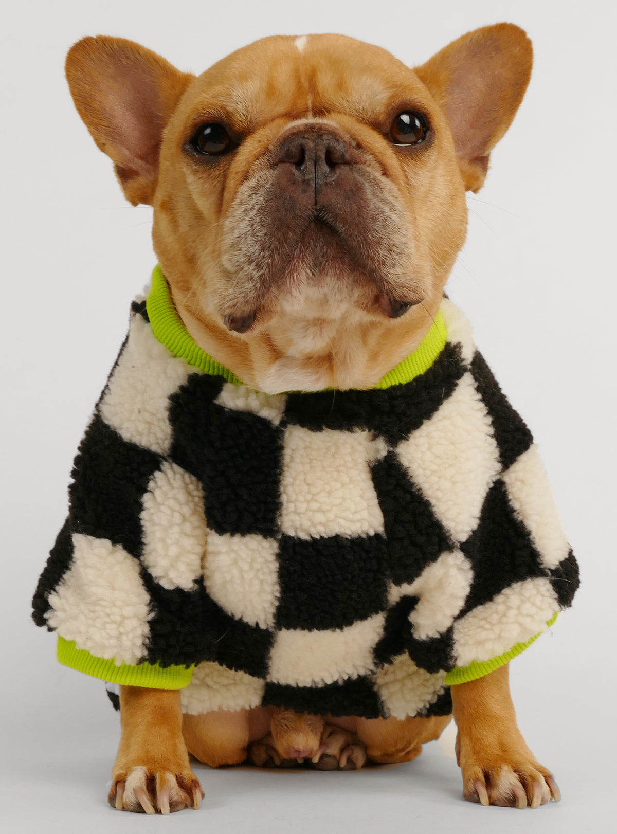 The Finish Line Dog Sweater