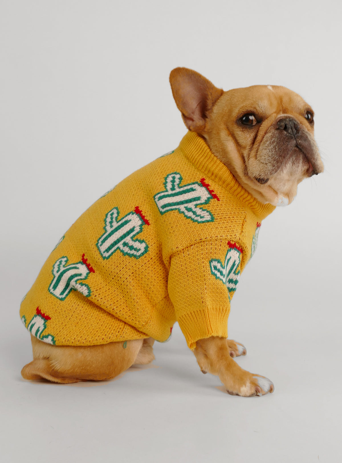 Santa Fe Dog Sweater