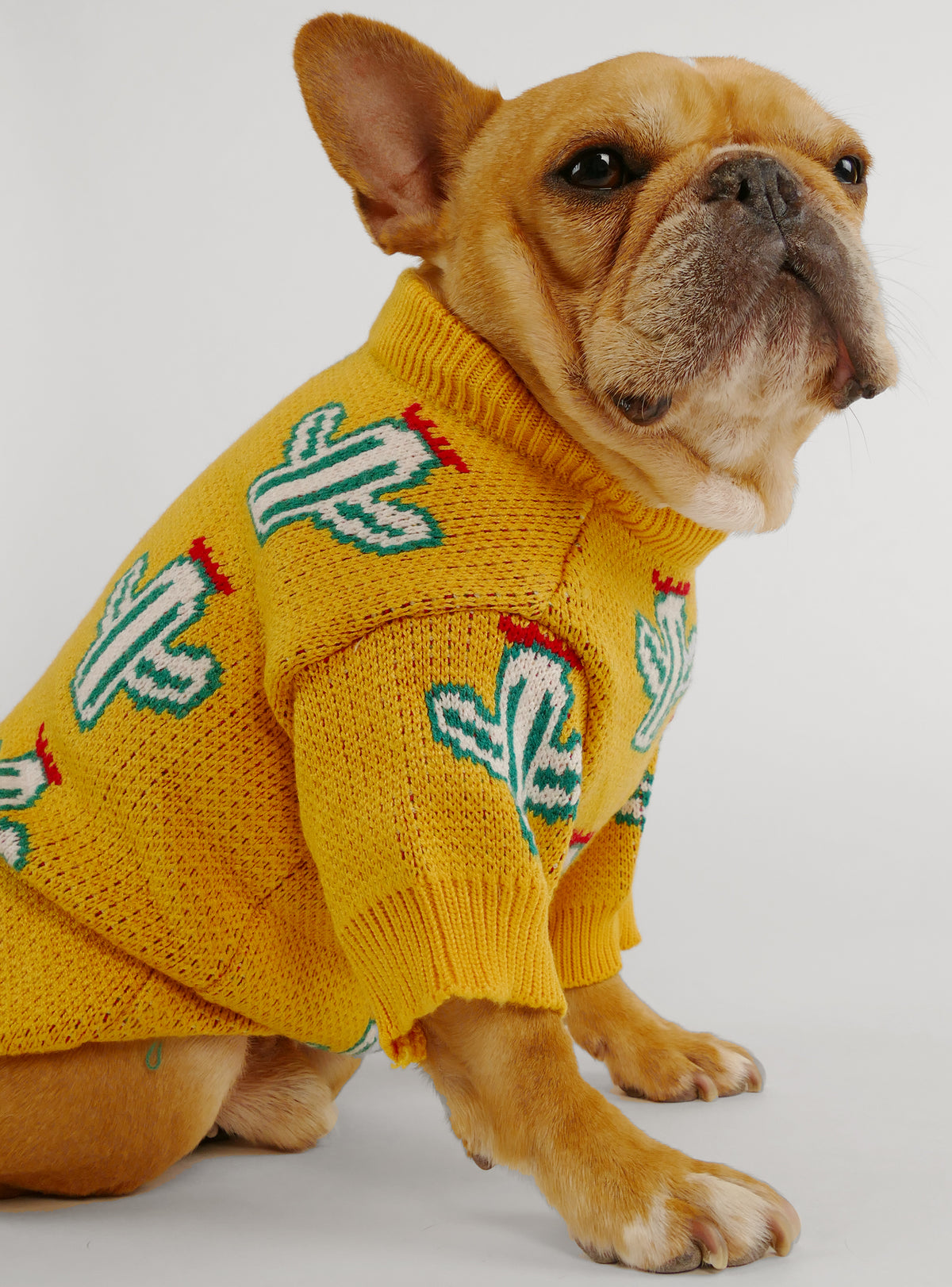 Santa Fe Dog Sweater