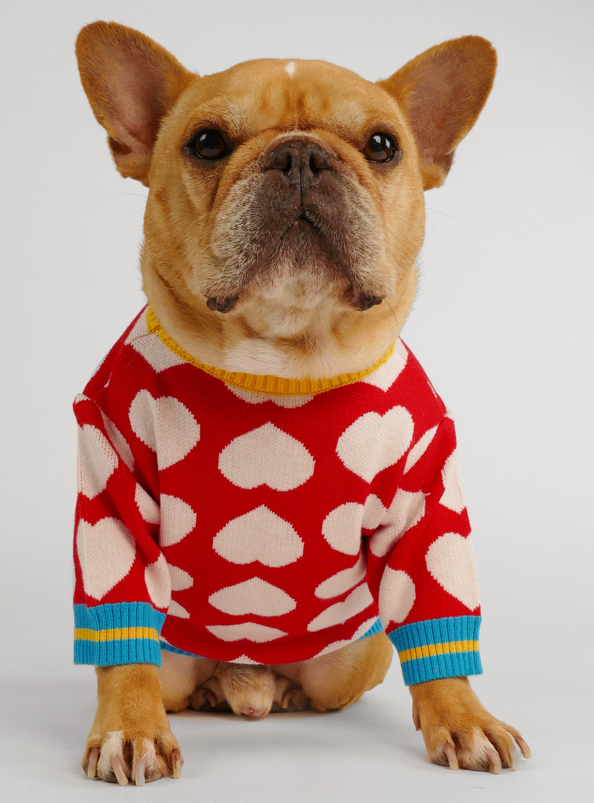 Lonely Hearts Club Dog Sweater