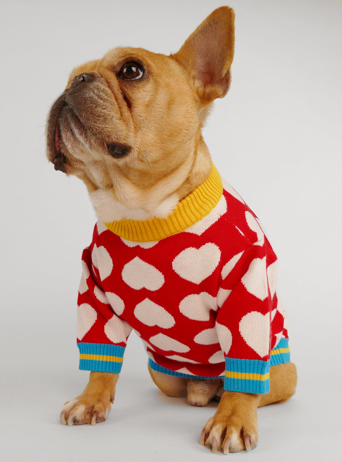 Lonely Hearts Club Dog Sweater