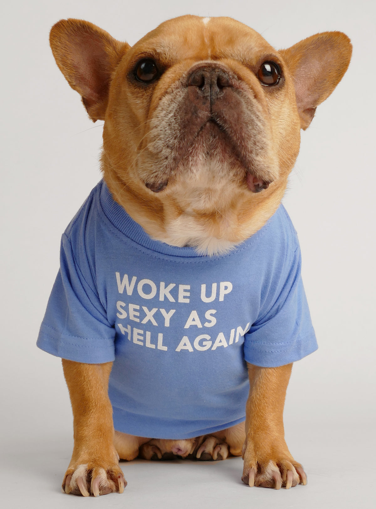 Woke Up Sexy As Hell Again Dog Tee