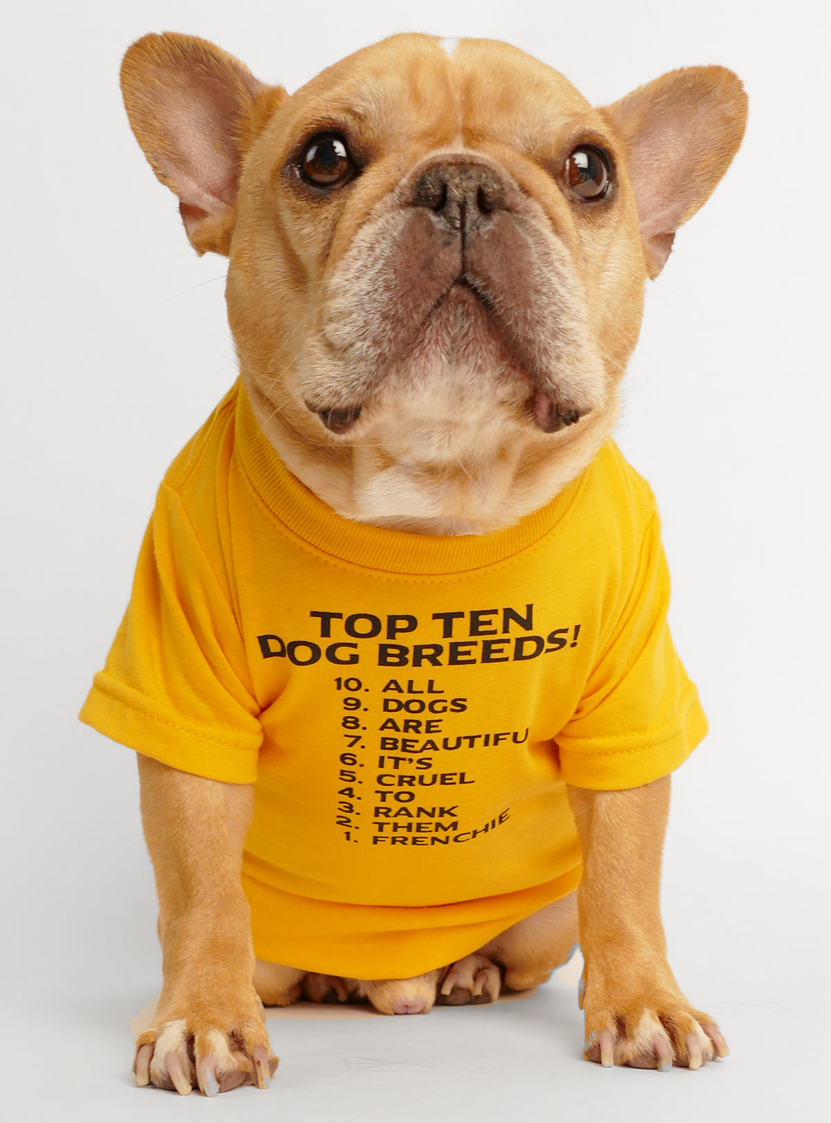 Top Ten Dog Breeds Dog Tee