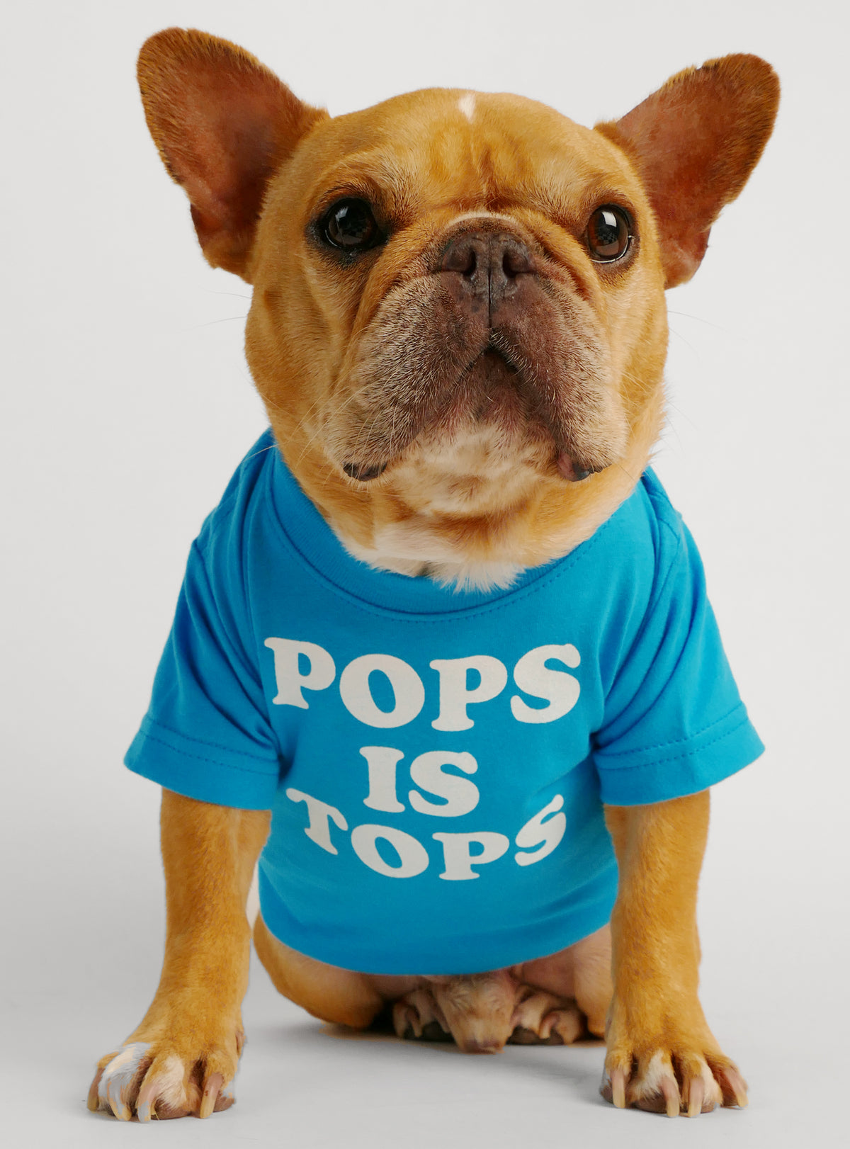 Pops Is Tops Dog Tee