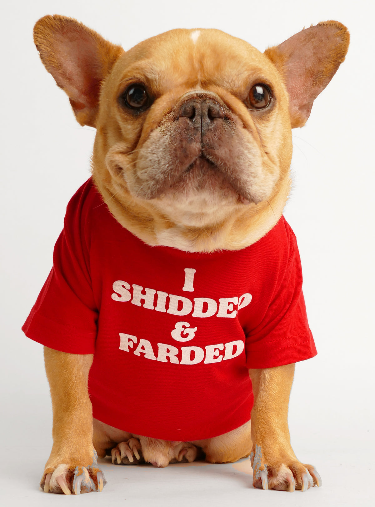 I Shidded And Farded Dog Tee